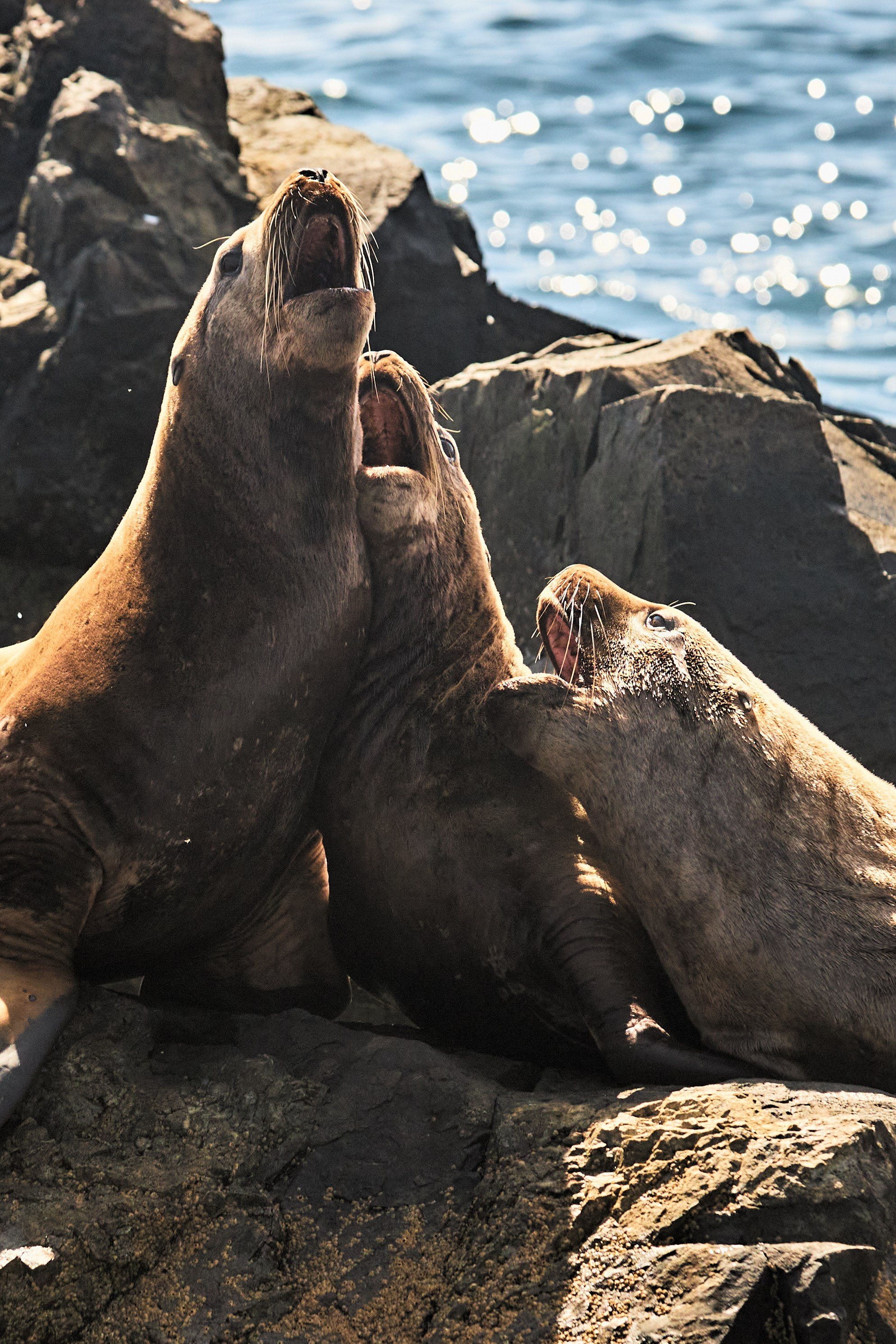 Пейзаж. Репортажный Фотограф во Владивостоке и России Осипчук Дмитрий