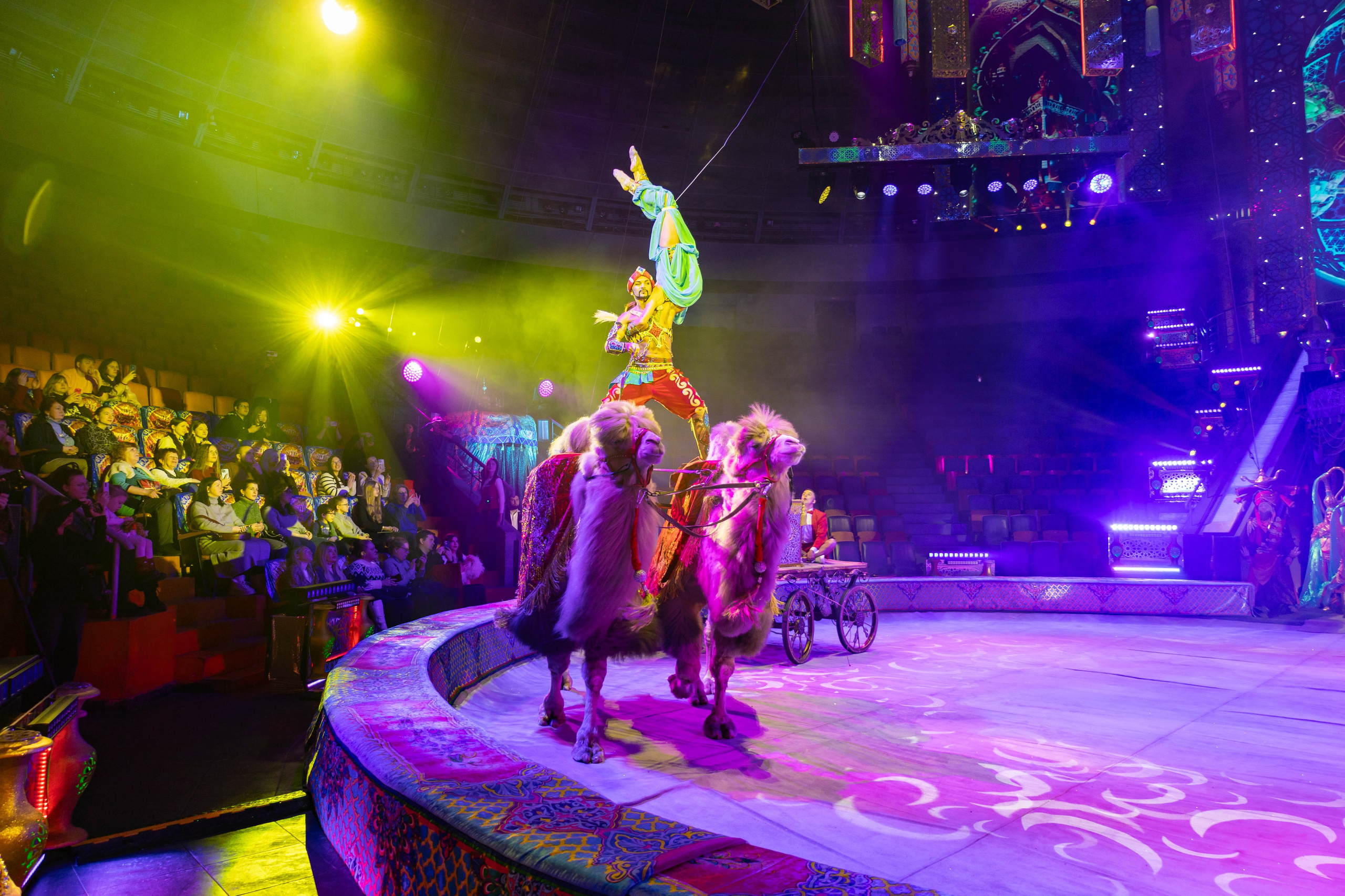 Цирк Гии Эрадзе «Песчаная Сказка». Ваш фотограф в Нижнем Новгороде