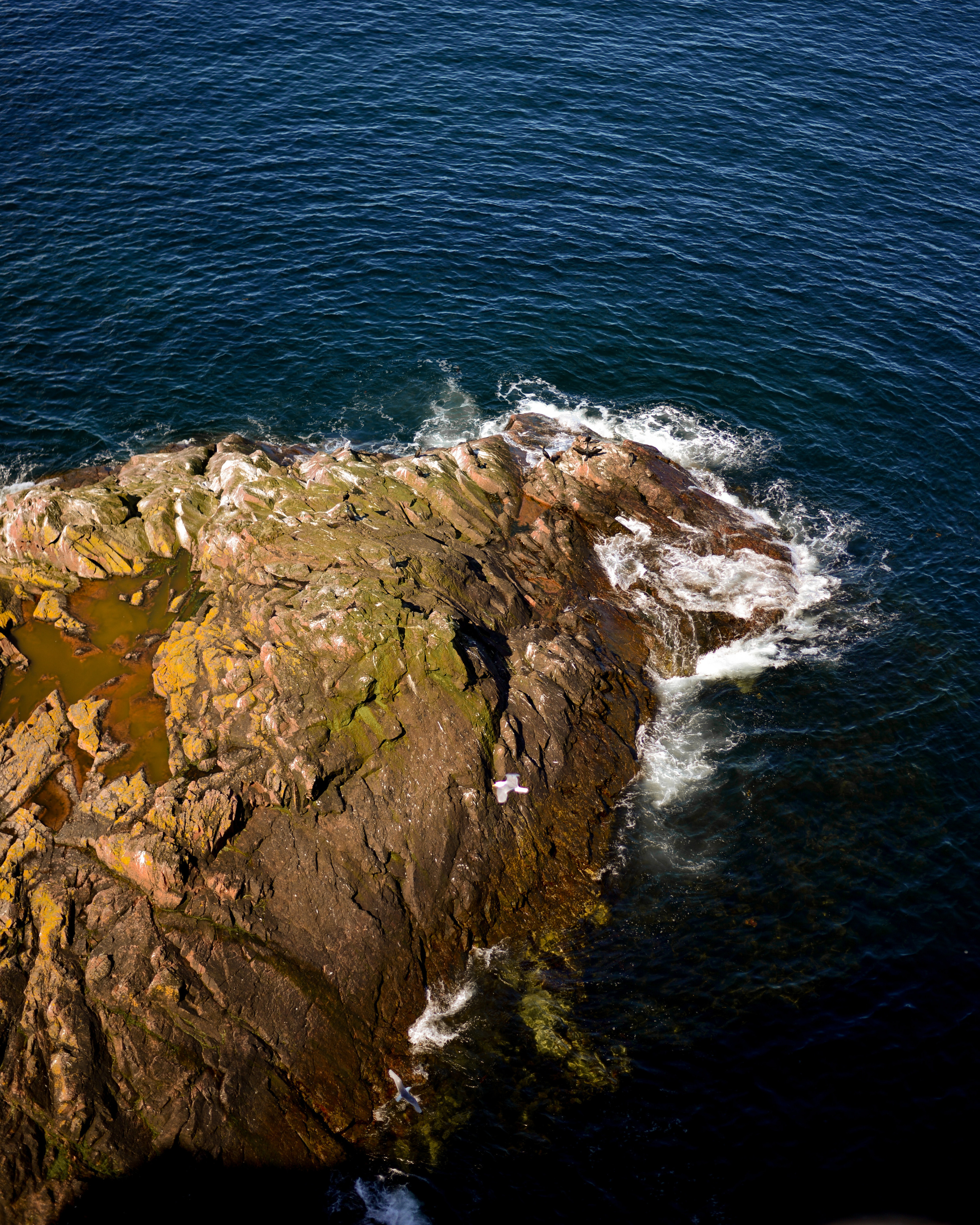 Лето на севере. Abakumova Viktoria