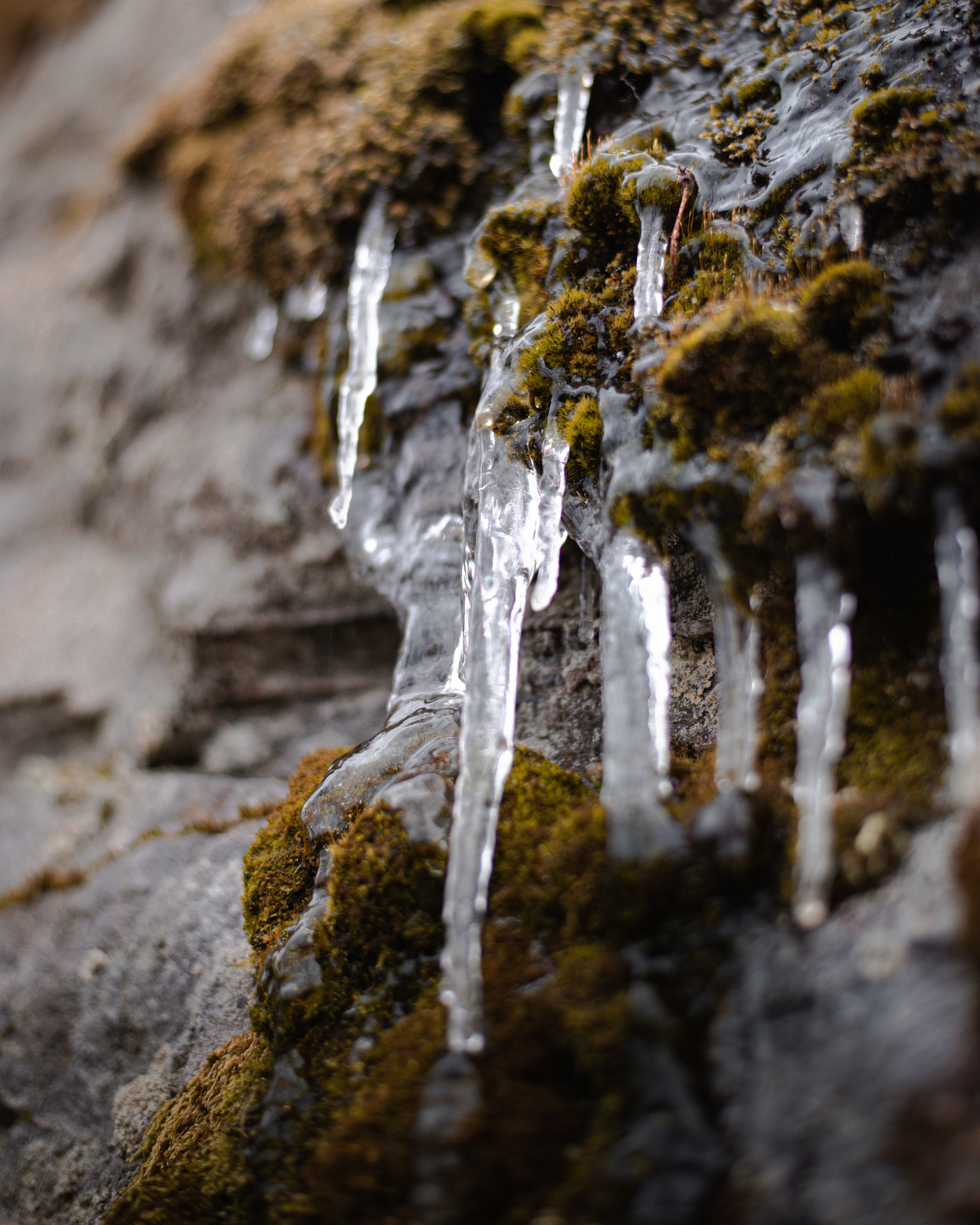 Карелия. Abakumova Viktoria