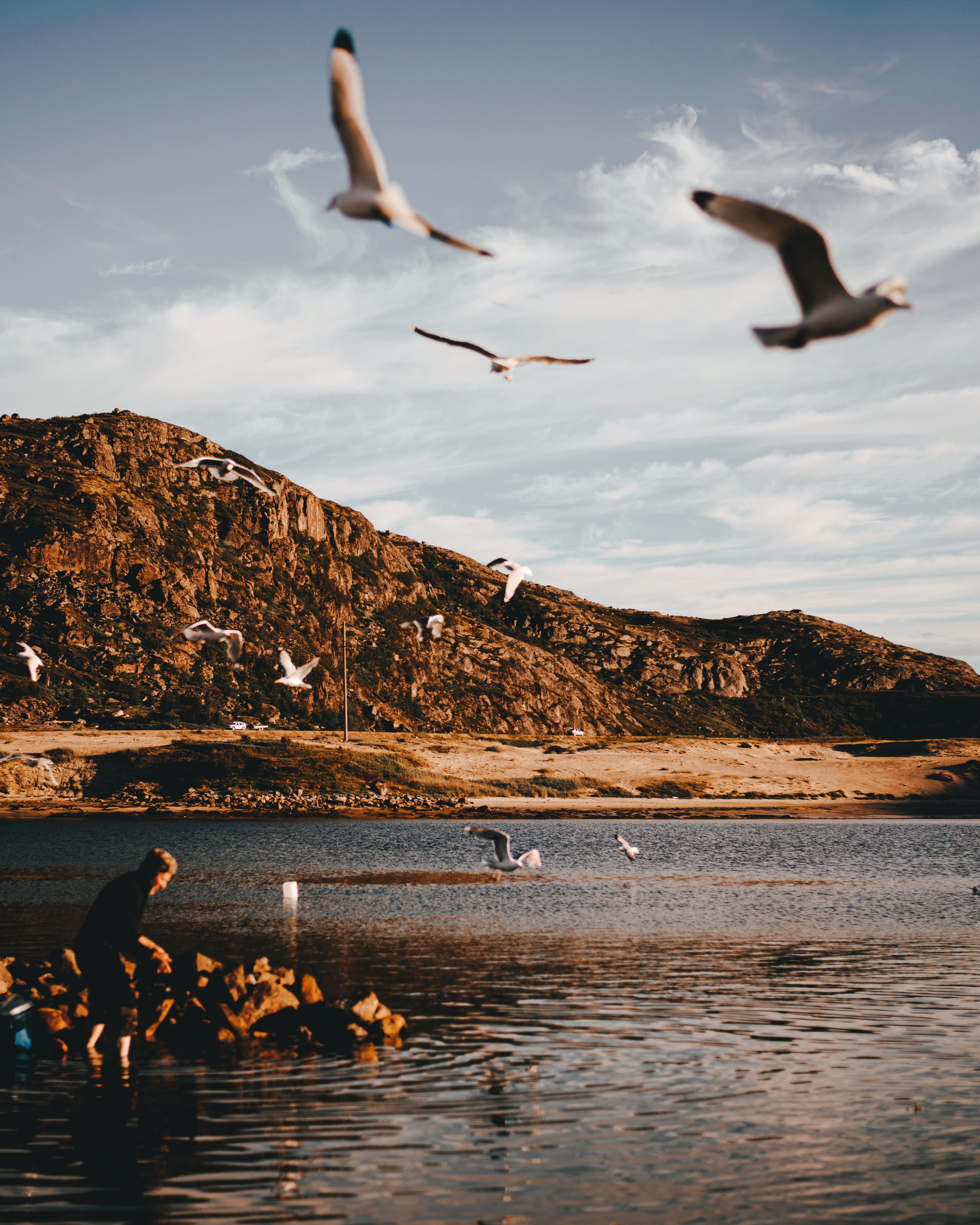 Пейзаж. Abakumova Viktoria