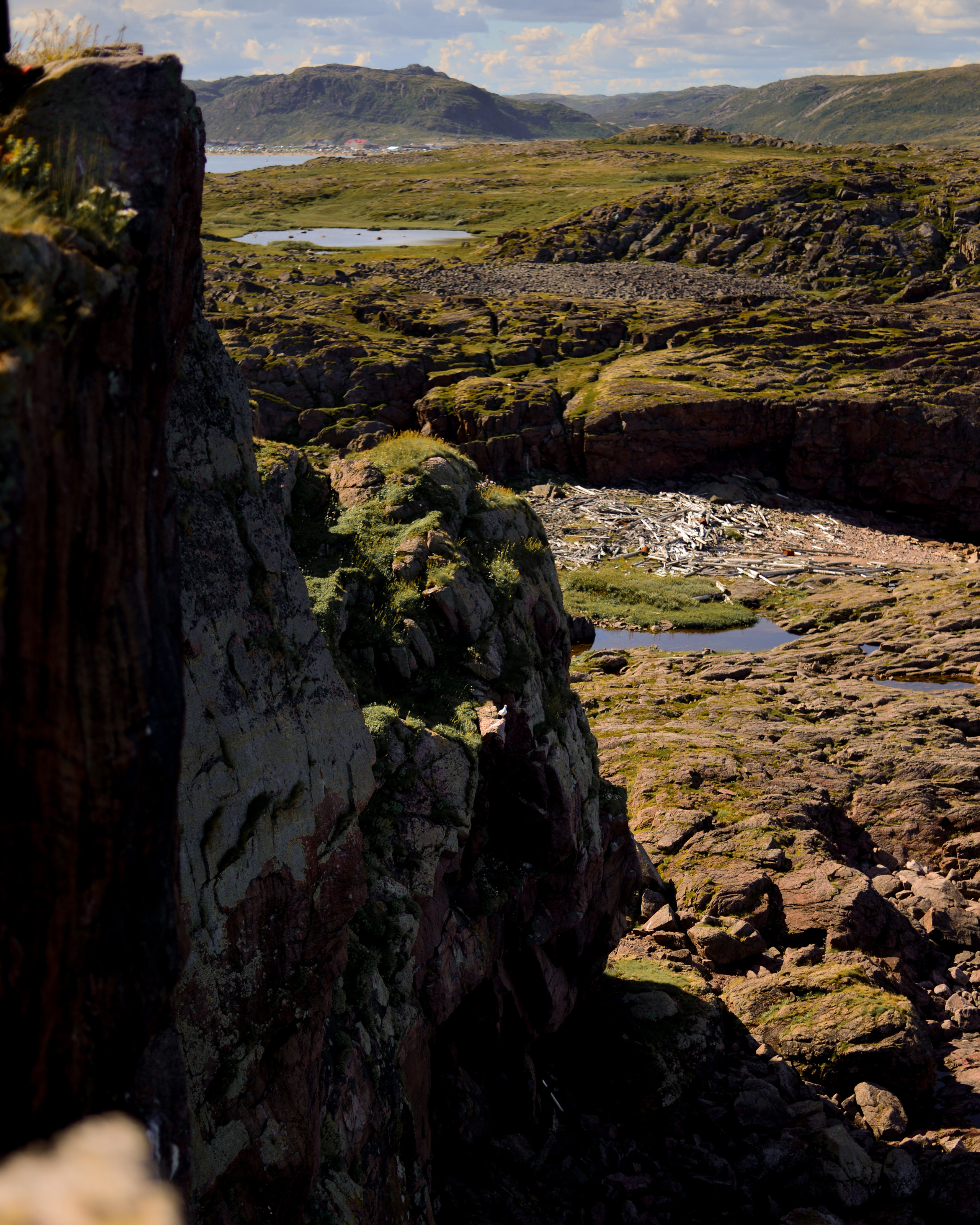 Лето на севере. Abakumova Viktoria