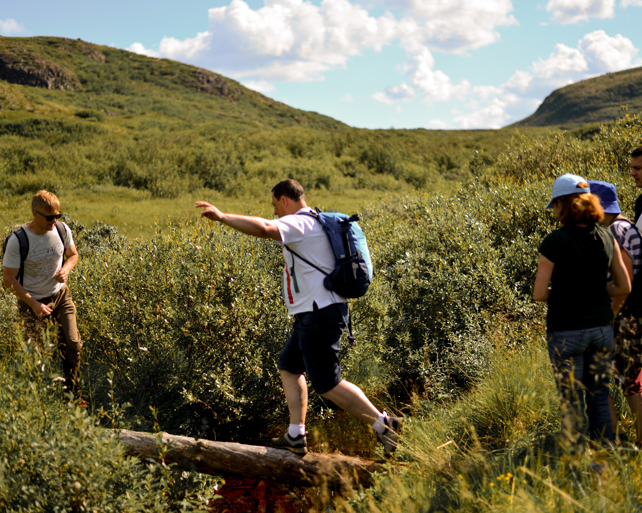 Лето на севере. Abakumova Viktoria