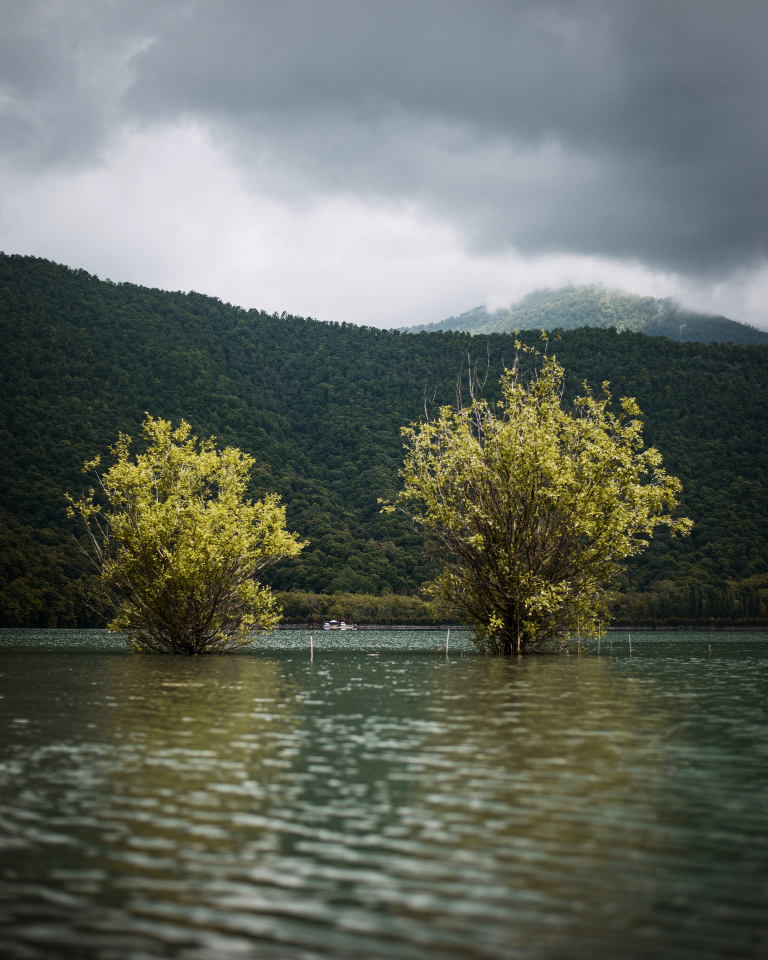 Пейзаж. Abakumova Viktoria
