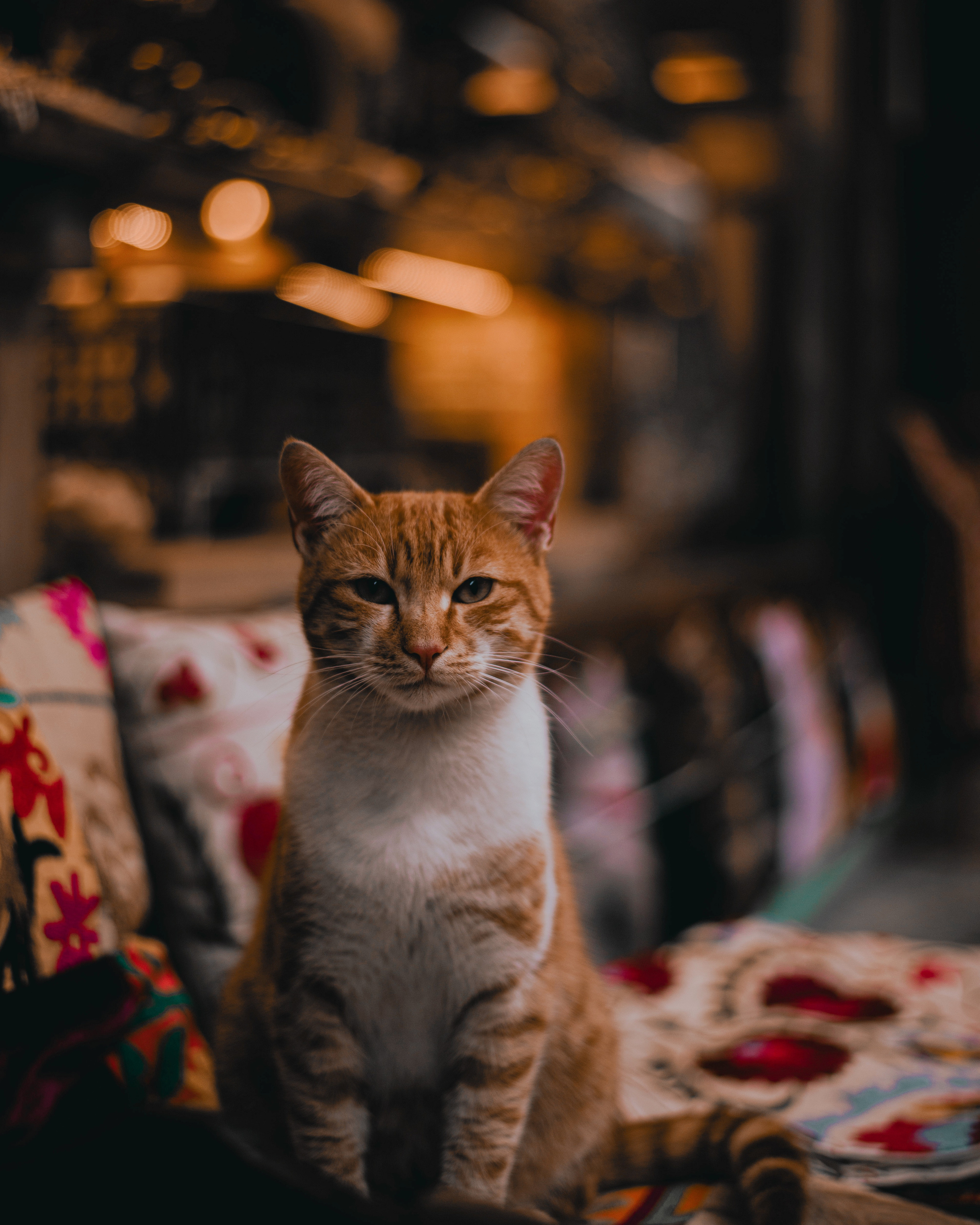 Стамбул. Abakumova Viktoria