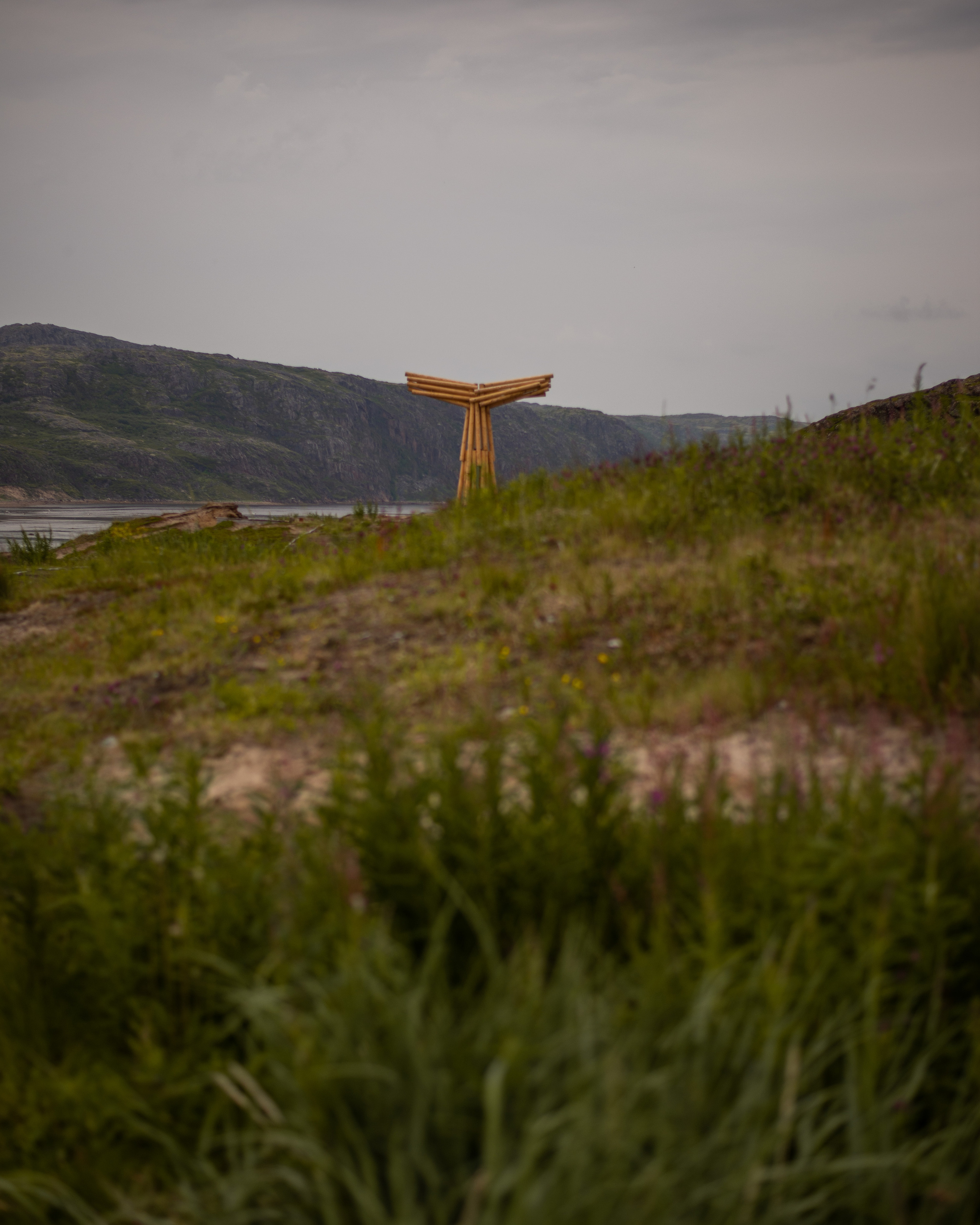 Лето на севере. Abakumova Viktoria