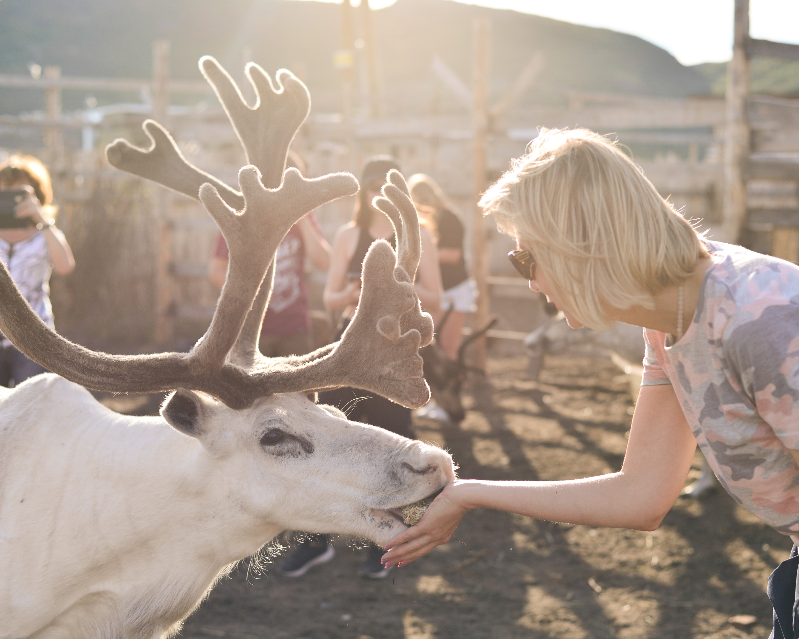 Лето на севере. Abakumova Viktoria