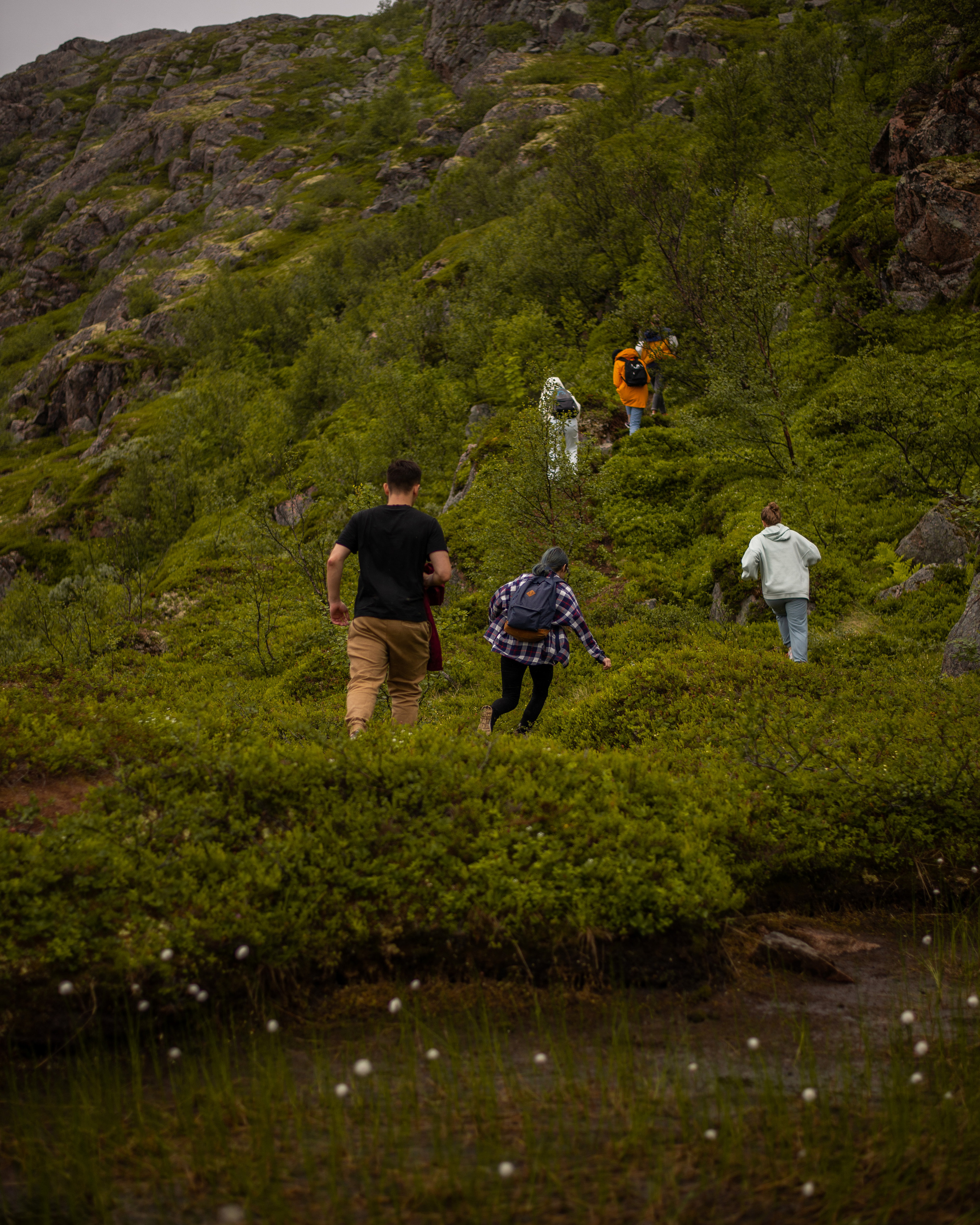 Лето на севере. Abakumova Viktoria