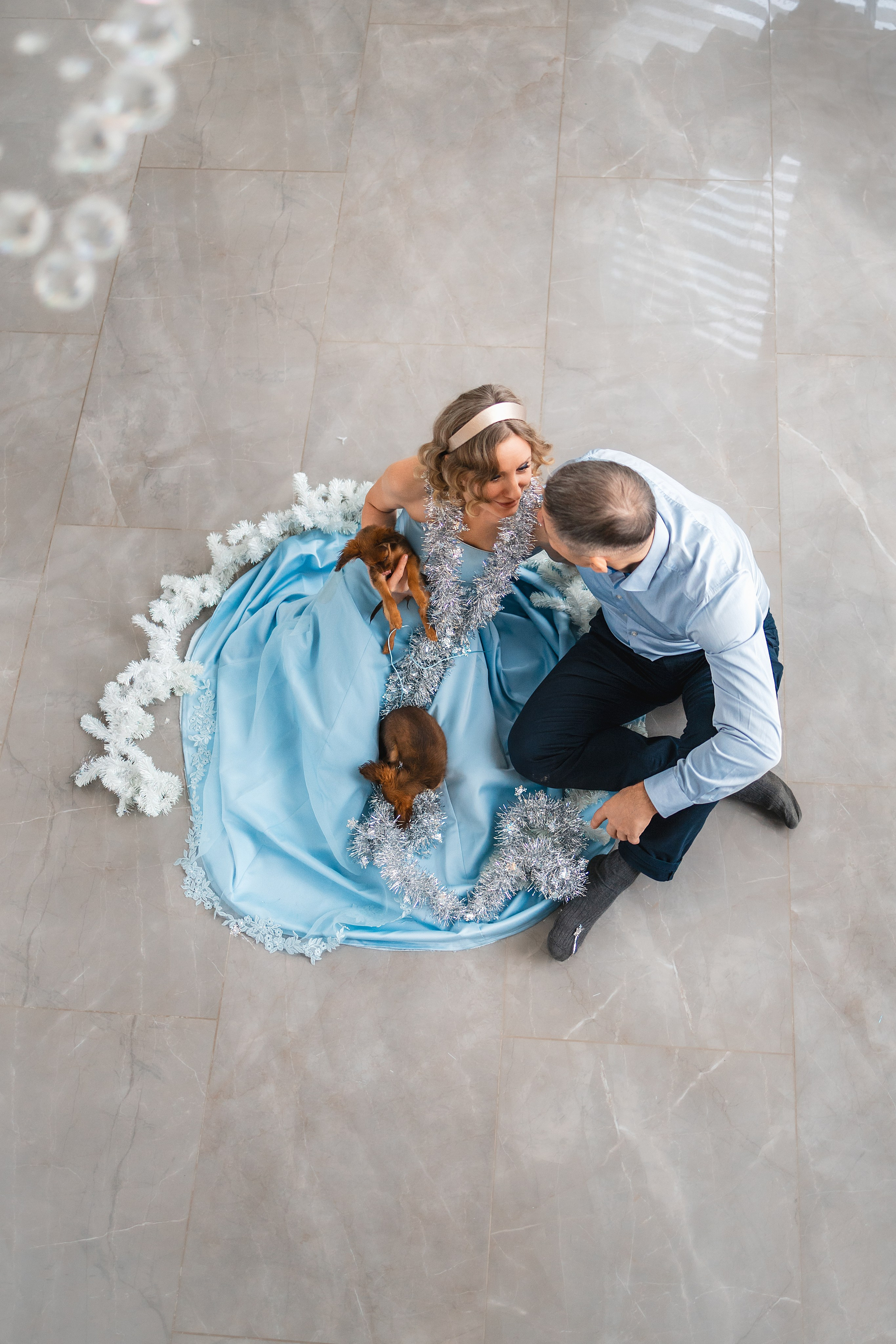 Домашняя съемка. Фотограф Анималист в Москве Анастасия Жучкова