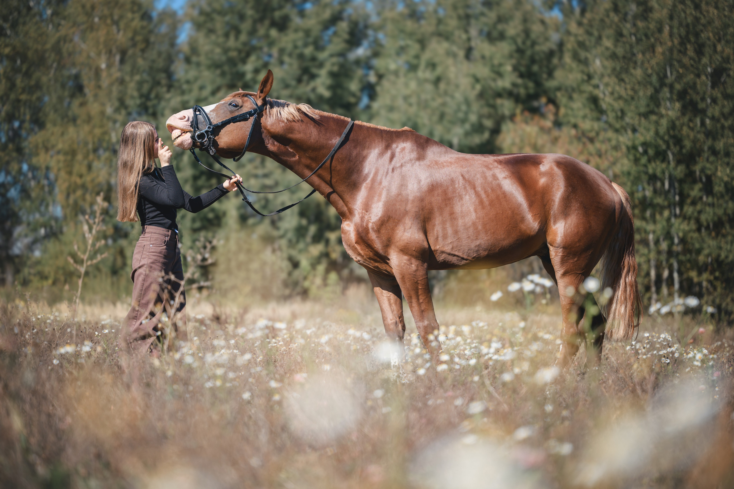 Виктория и Лео. Фотограф Анималист в Москве Анастасия Жучкова