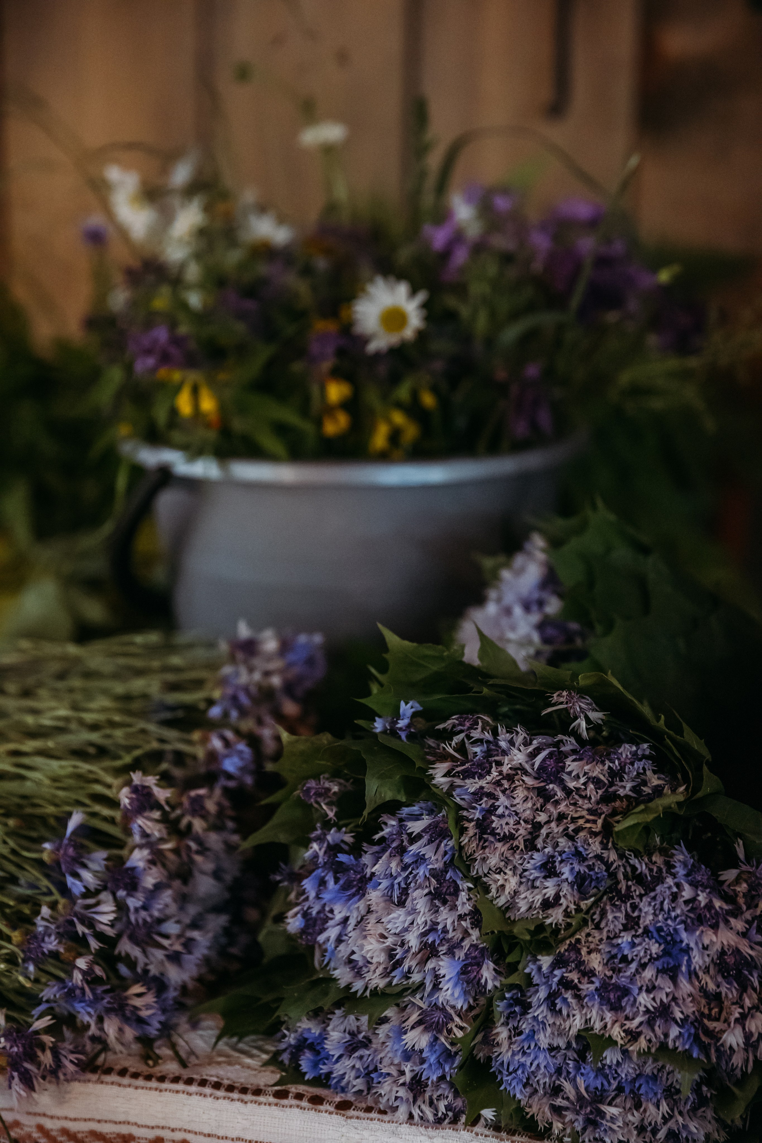 Родные люди «Мандроги». Леся Гаранина. Семейный фотограф/видеограф Москва и область