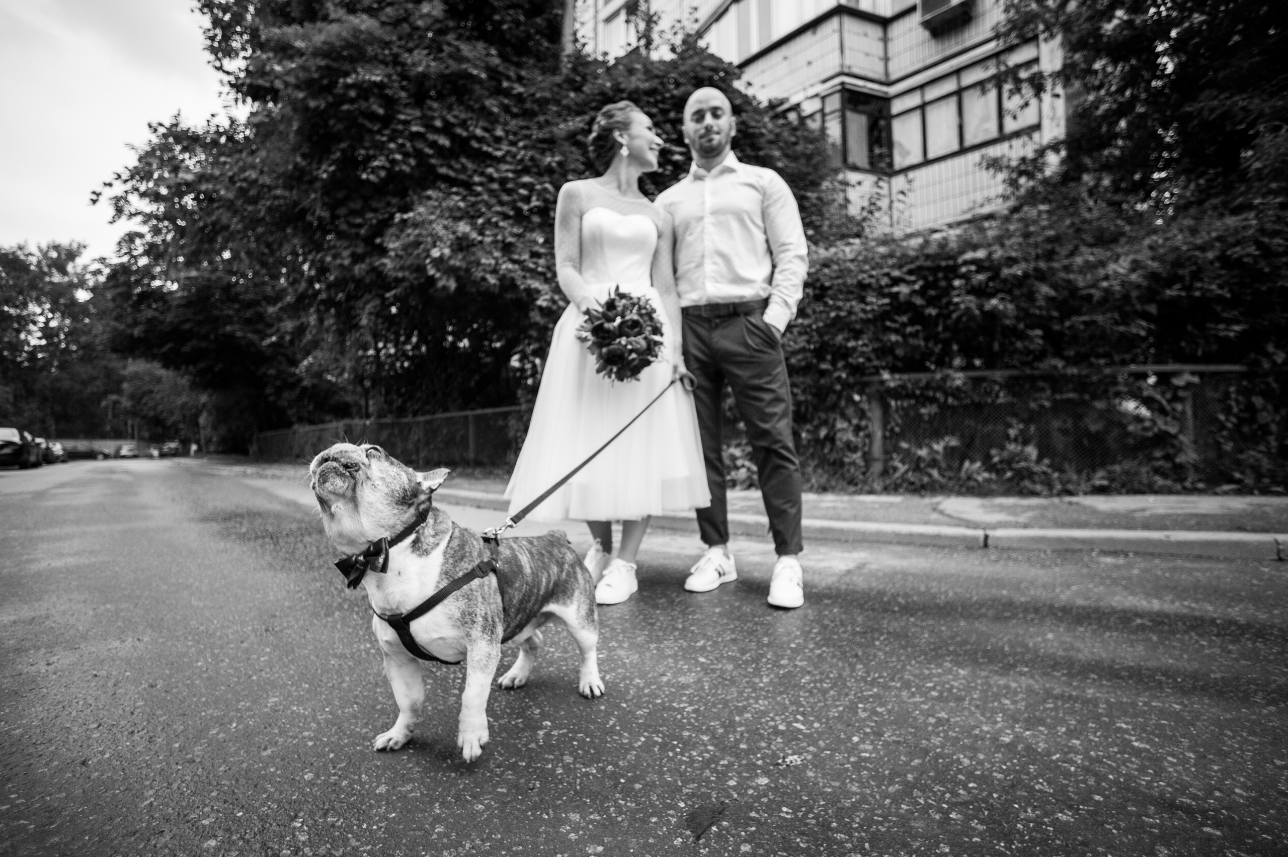 Свадьбы. Фотограф в Москве