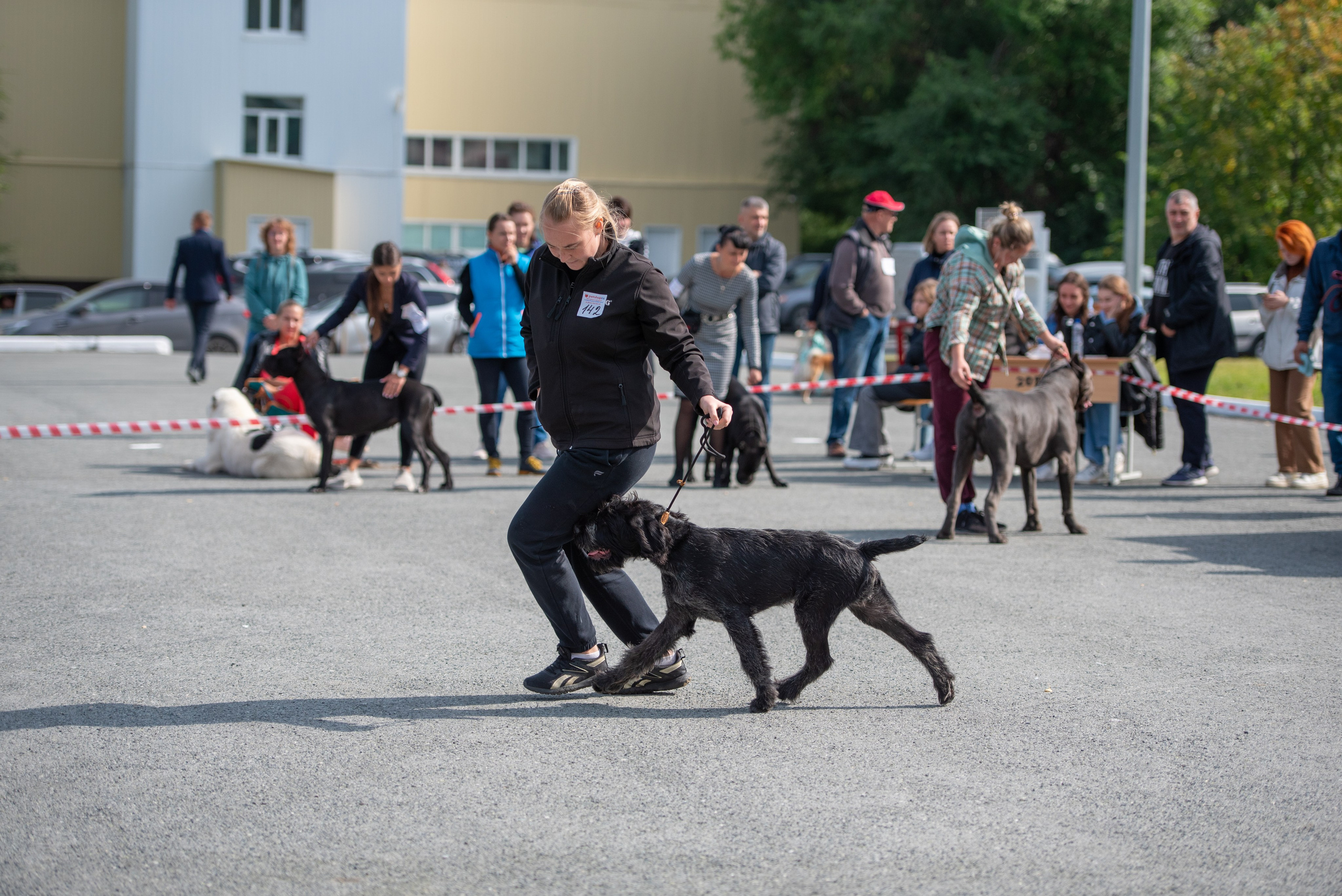 Выставки. Главная