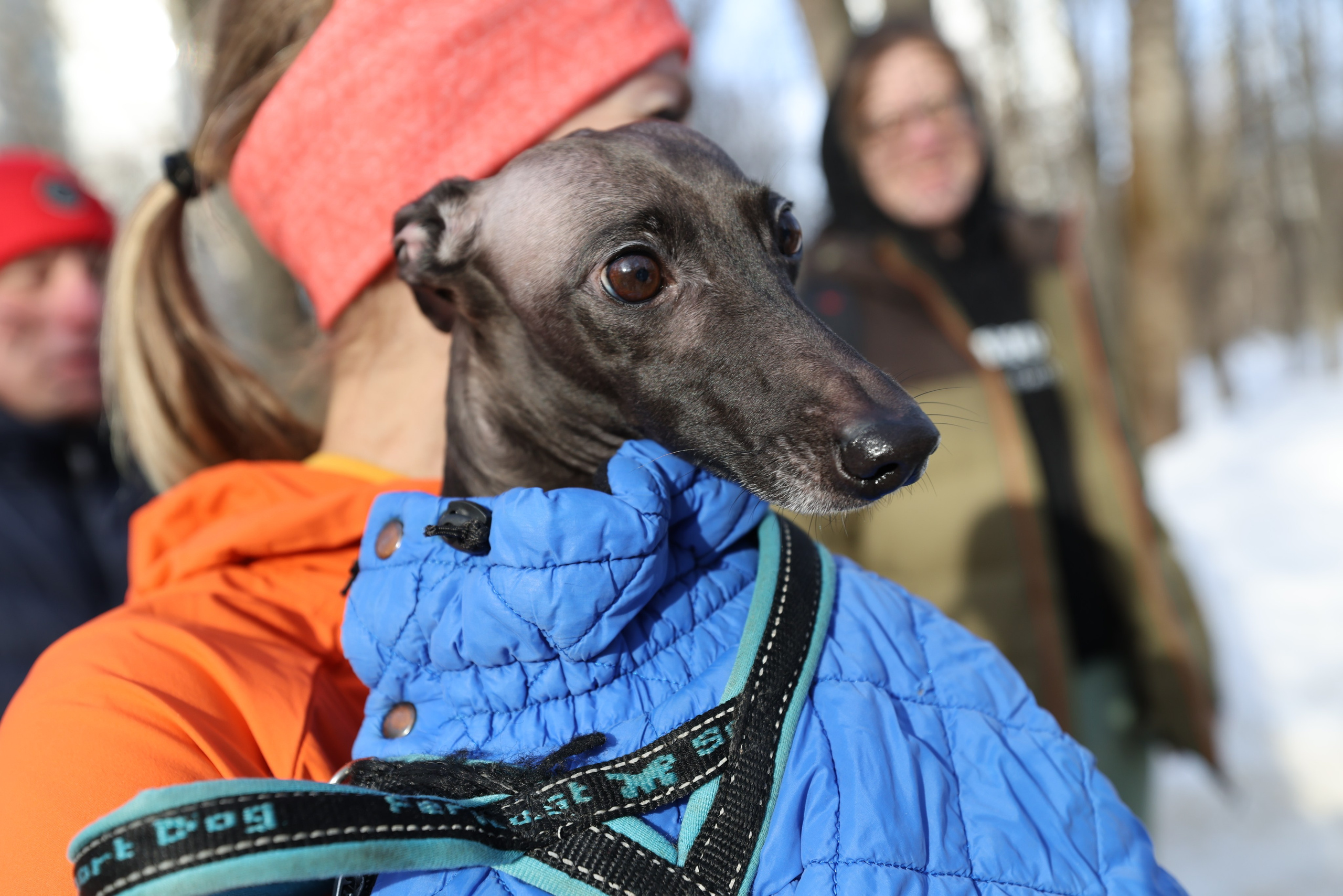 Тушиноги умеют поздравлять — 07.03.26. Фотограф Сергей Ловкий