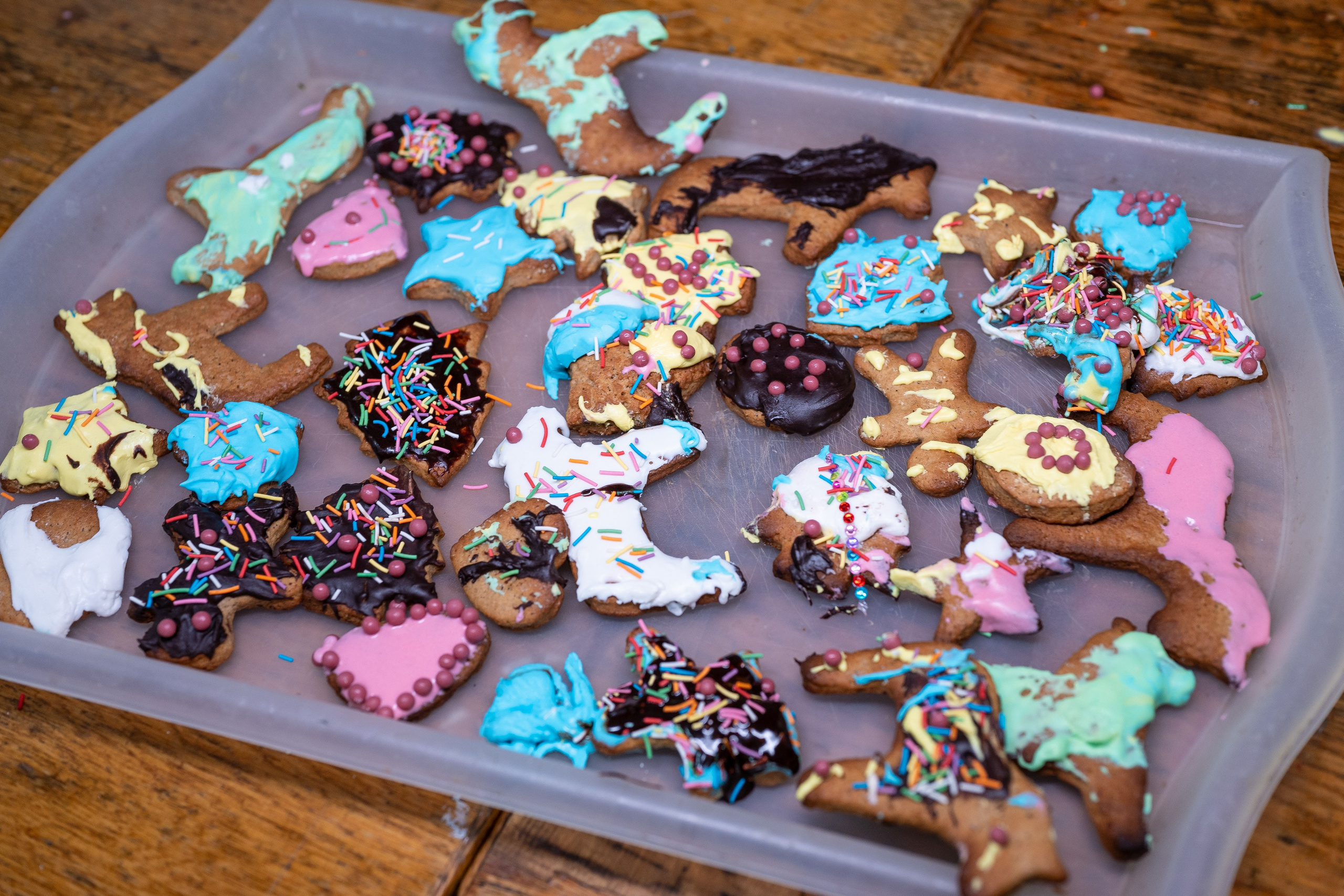 Детский лагерь — рождественская смена, 2026 год. Иван Кубик — фотограф и видеограф