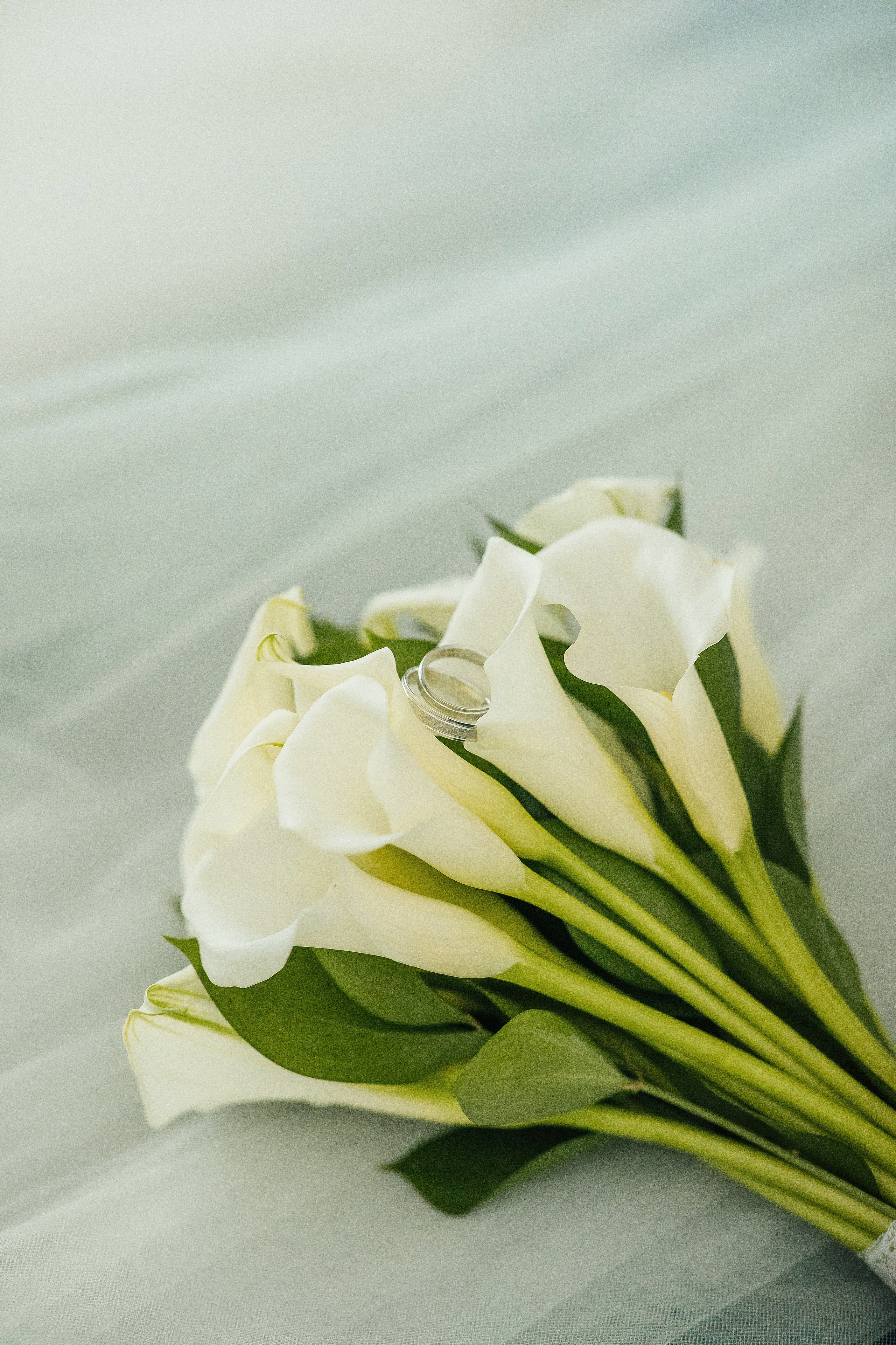 Сергей Мария. Семейный и свадебный фотограф в Томске Марилова Ольга