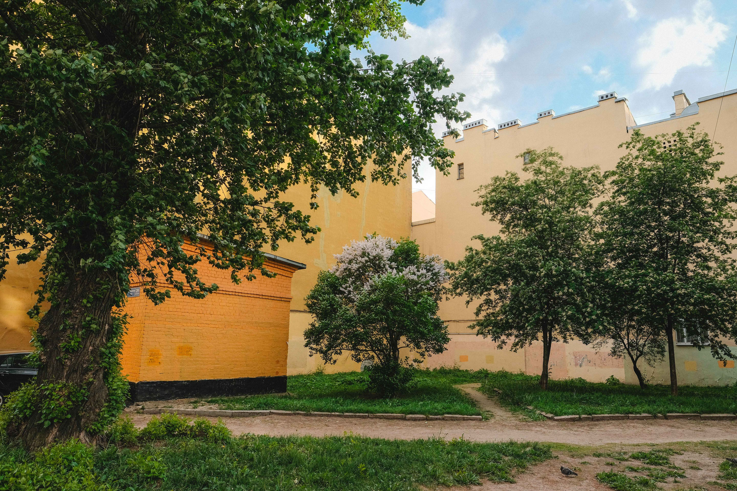 2023.06. Фотограф Алексей Алексеев