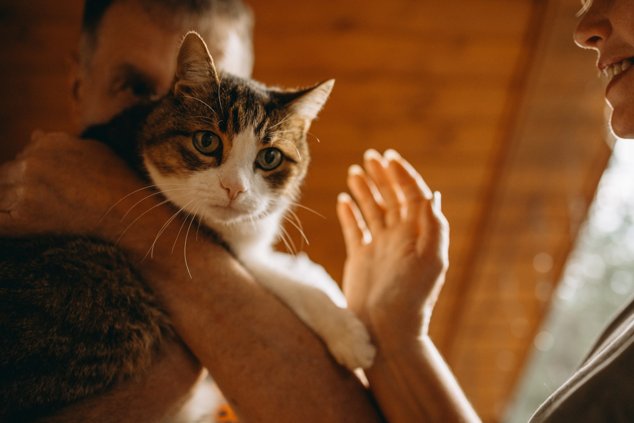 Дом у реки. Фотограф — Анималист | Санкт-Петербург