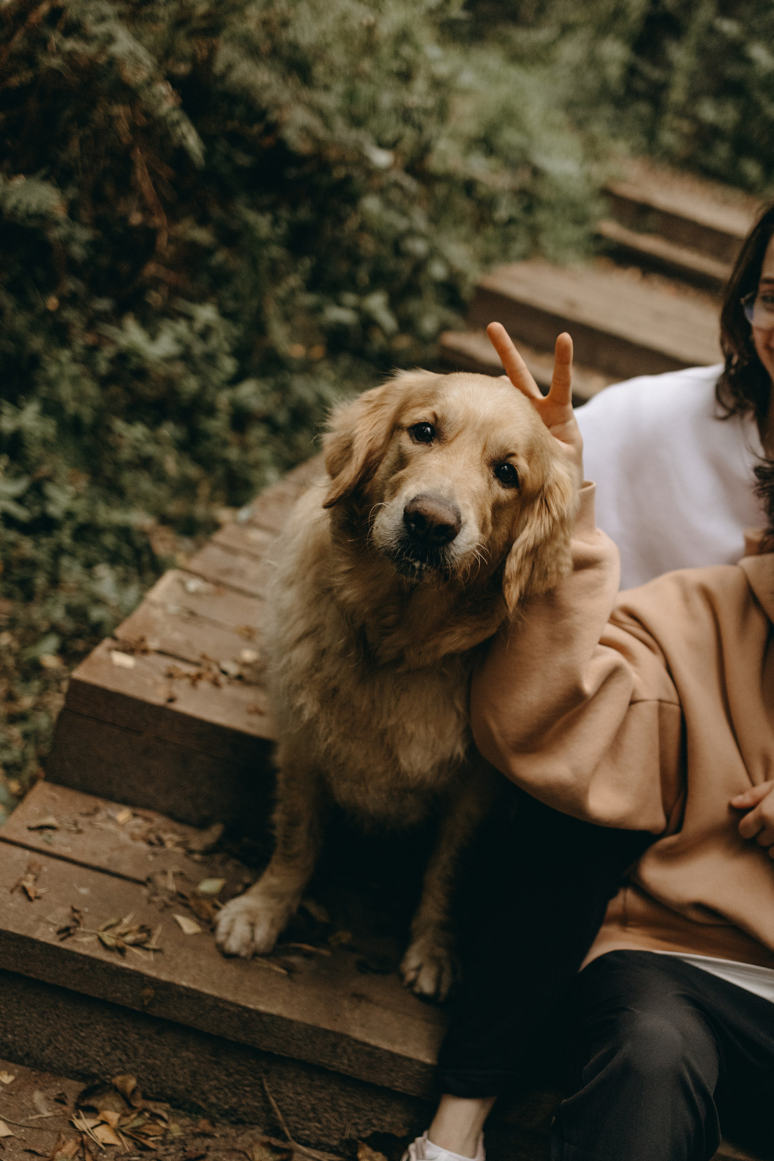 Фоси и его семьи. Фотограф — Анималист | Санкт-Петербург