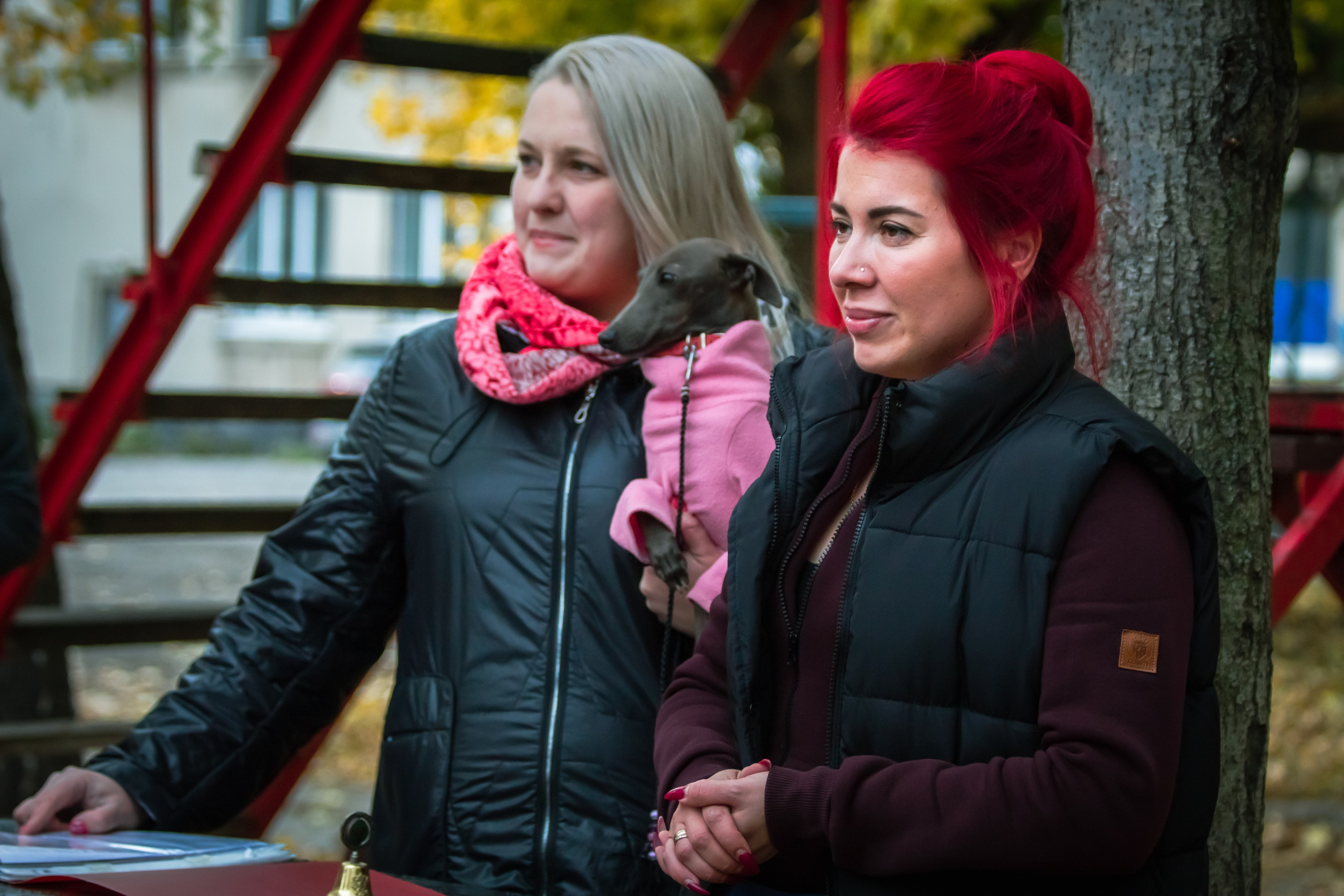 Костюмированный парад собак. Фотограф анималист — Тула, Москва