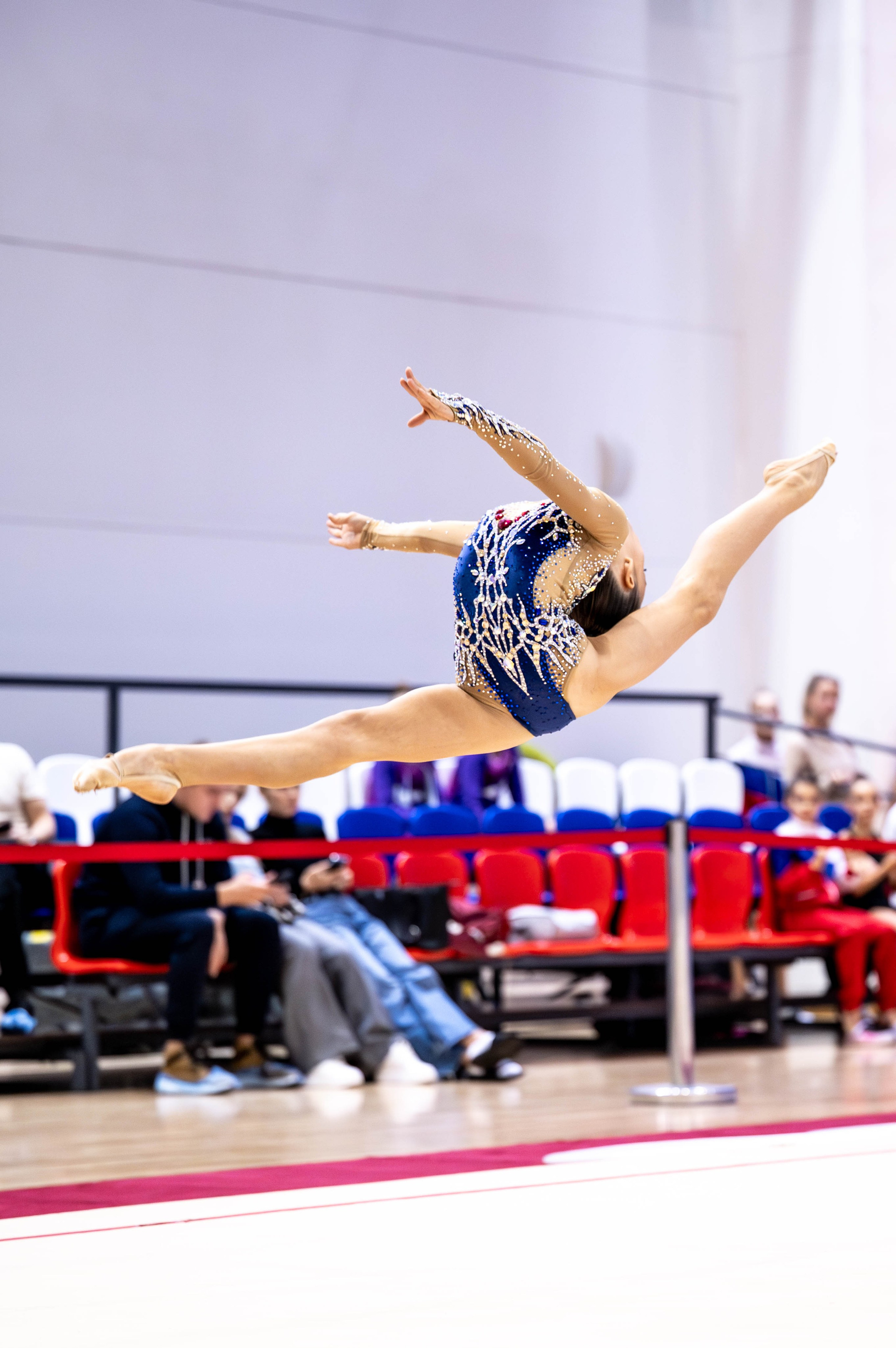 ЧиП Тульской области, ноябрь 2024. Спортивный фотограф в Туле и Тульской области. Файсханова Фото Спорт