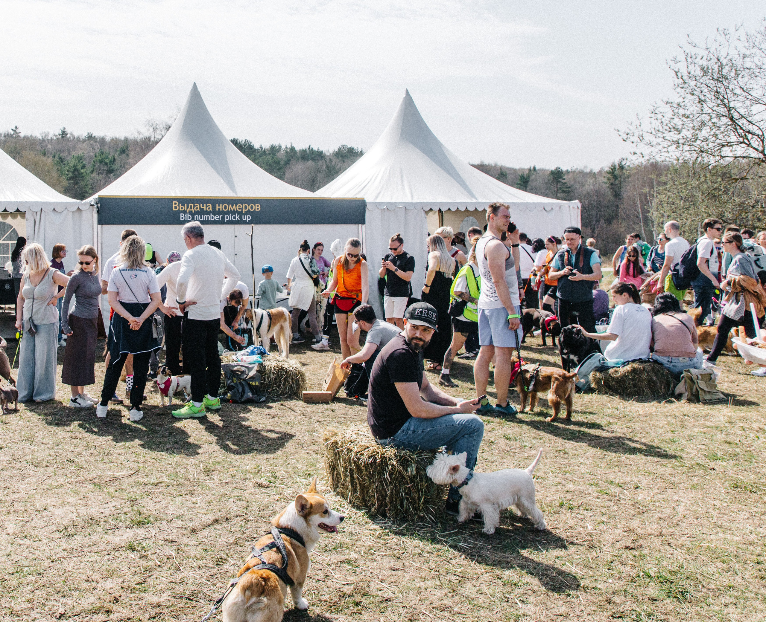 Кросс «Быстрый пёс» 2025. Репортажный фотограф в Москве