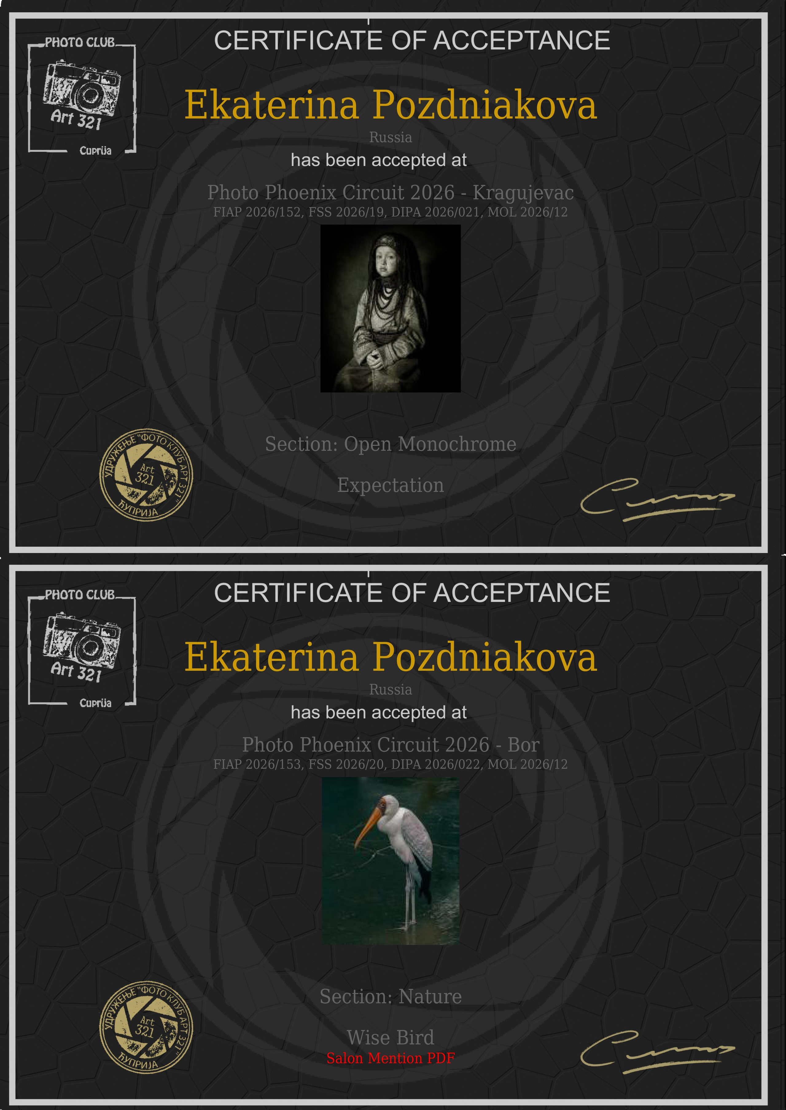 Photo Phoenix Circuit 2026 FIAP. Art Рhotographer Russia/Moscow