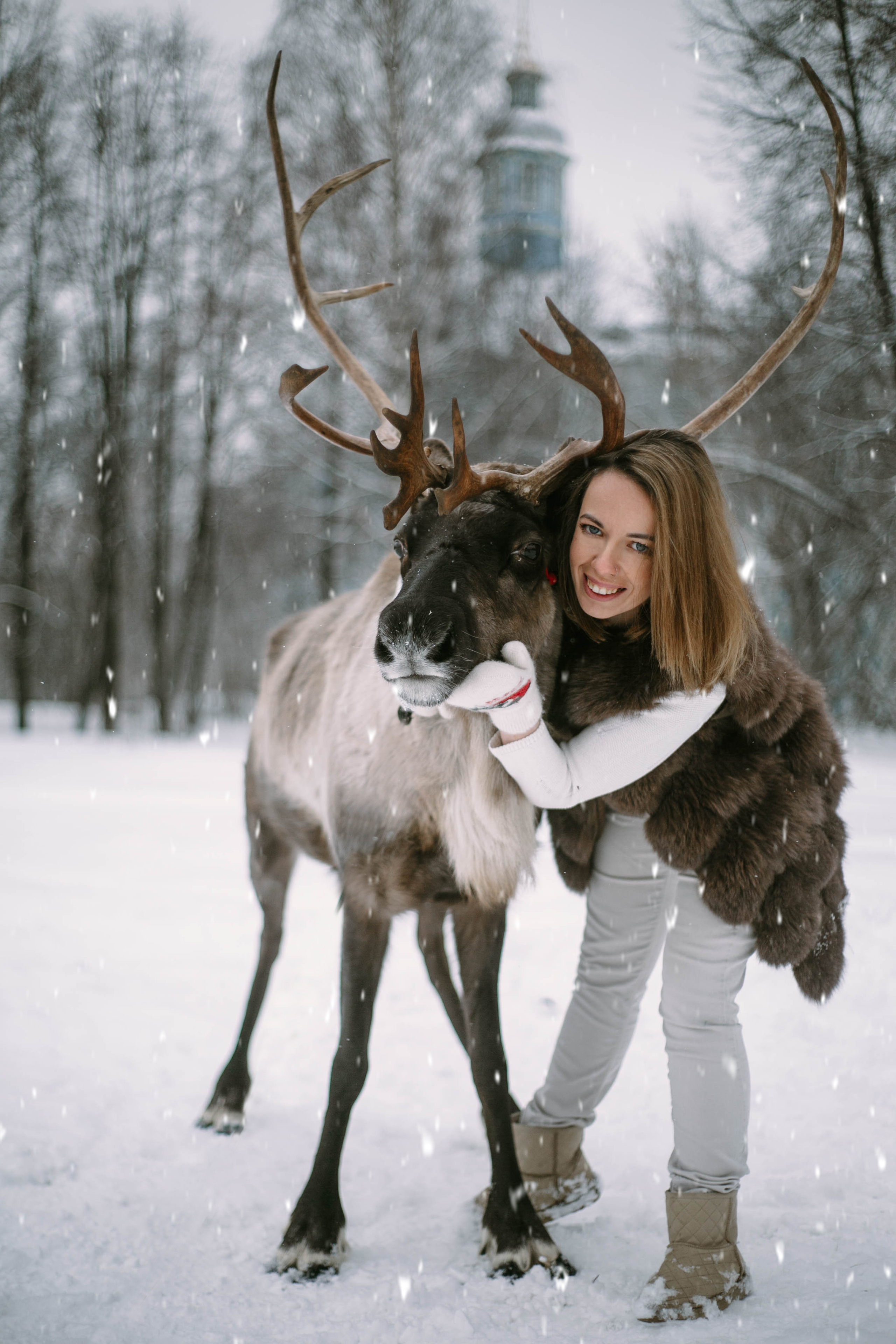 Фотографии с животными. Главная