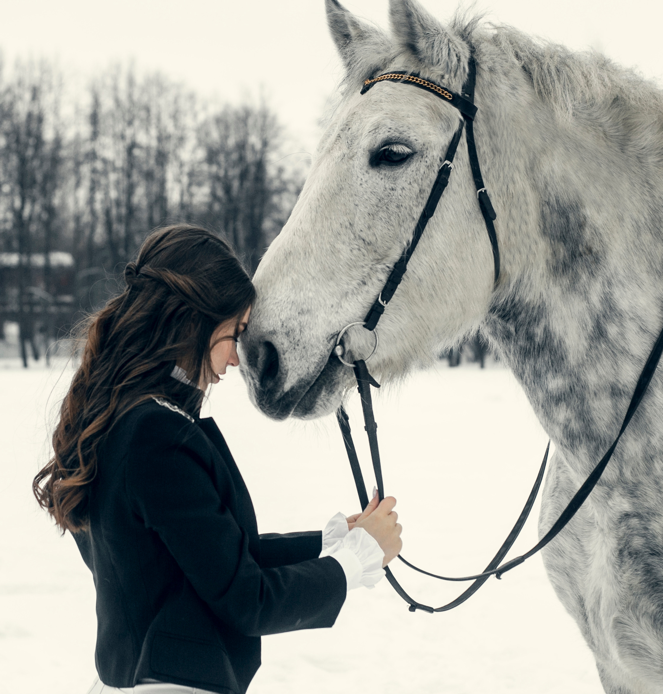 Фотографии с животными. Главная