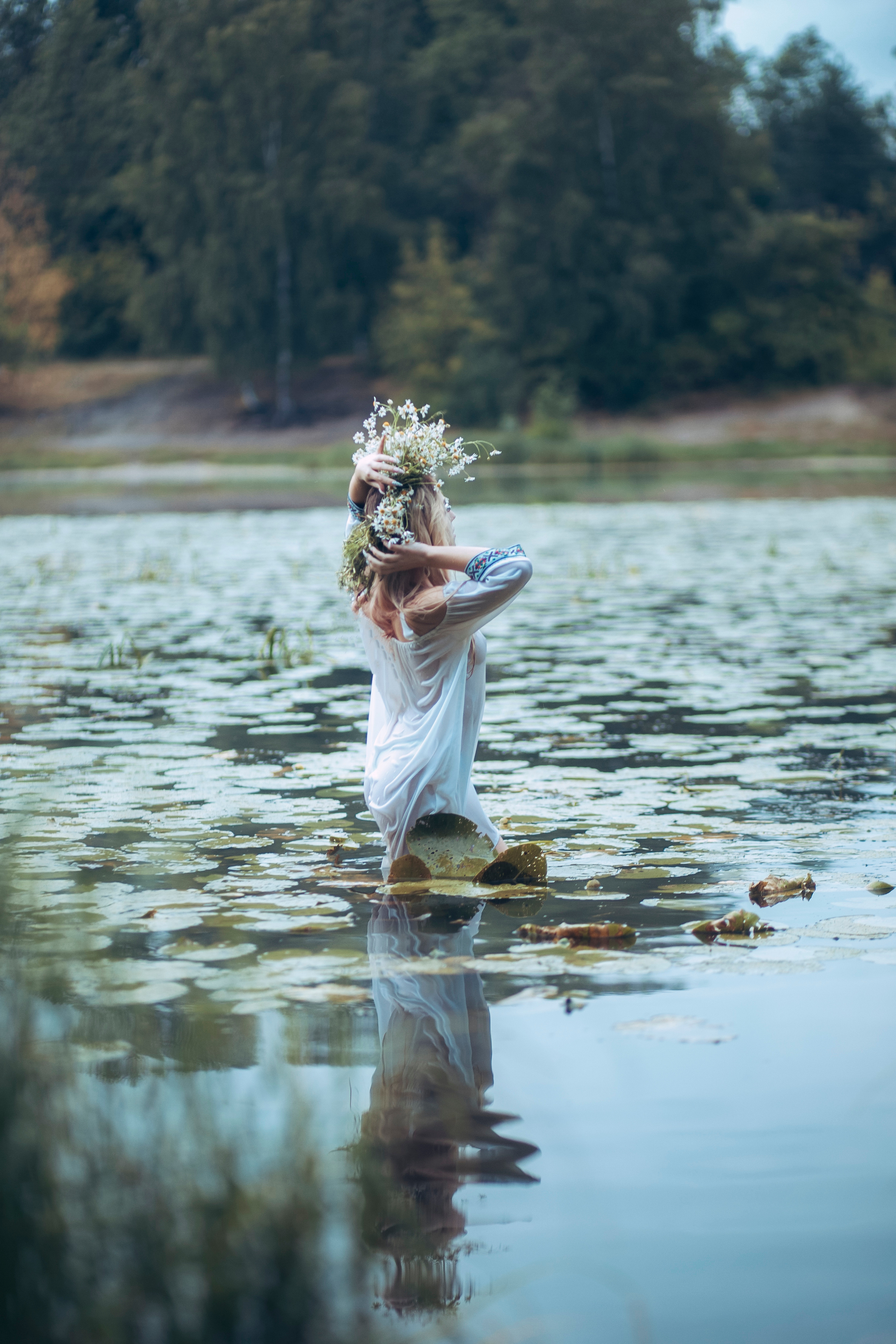 Нимфа. Главная