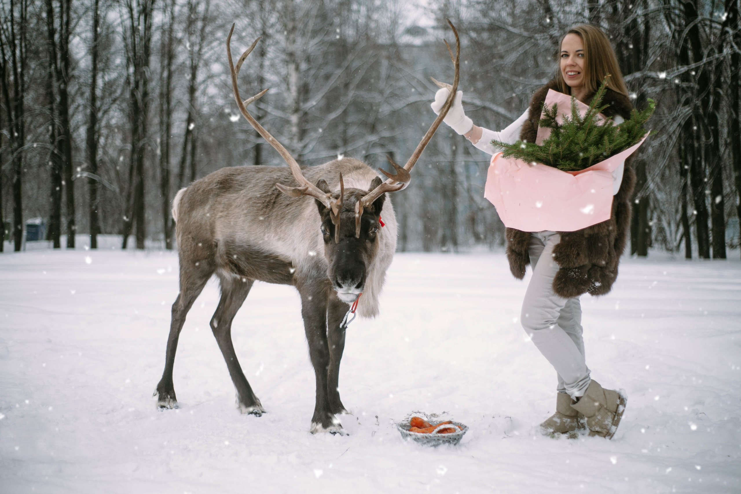 Фотографии с животными. Главная