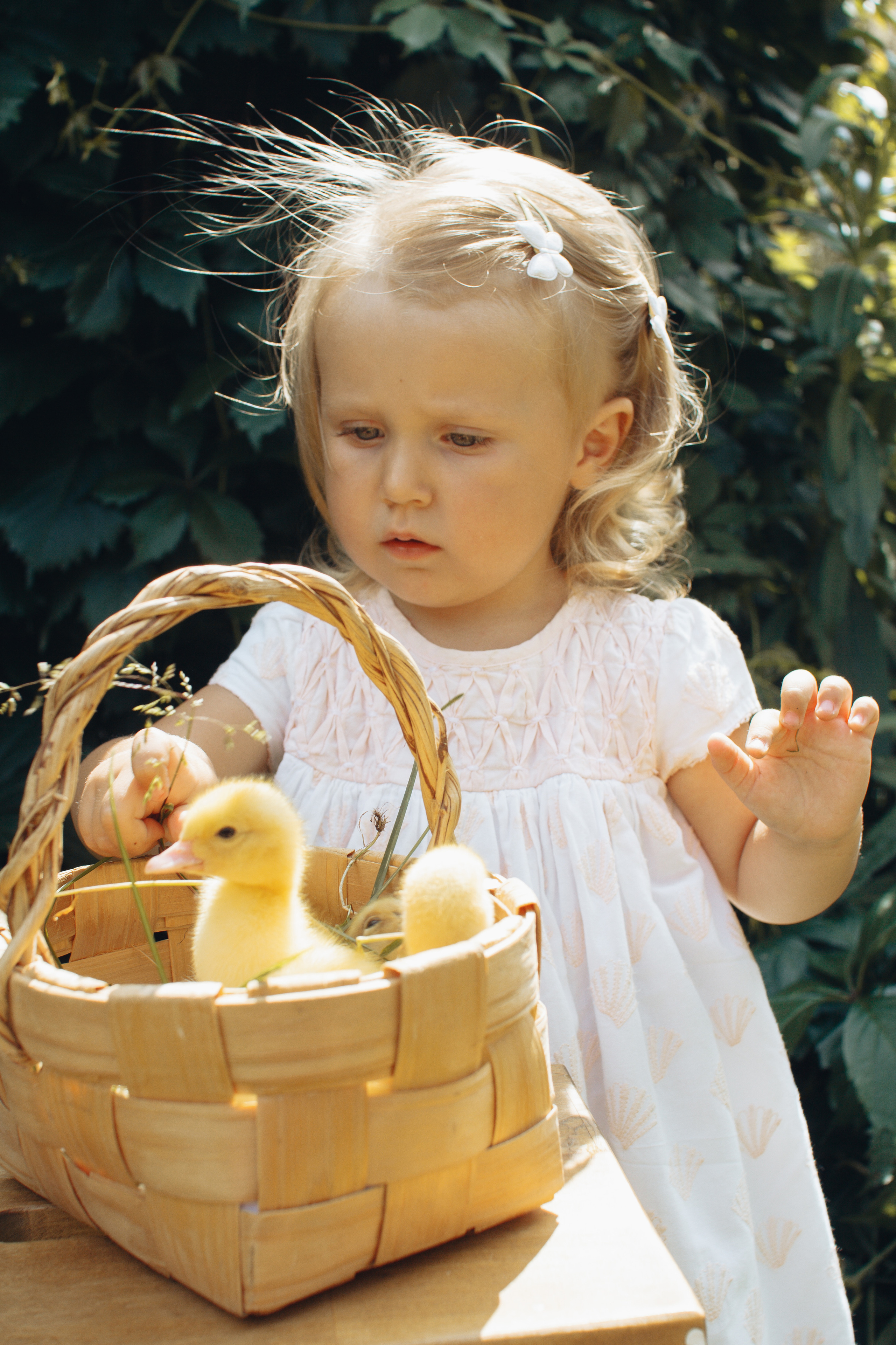 Фотографии с животными. Главная