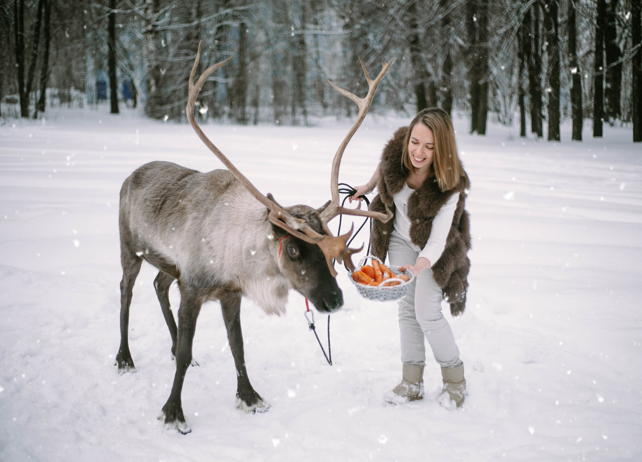Фотографии с животными. Главная