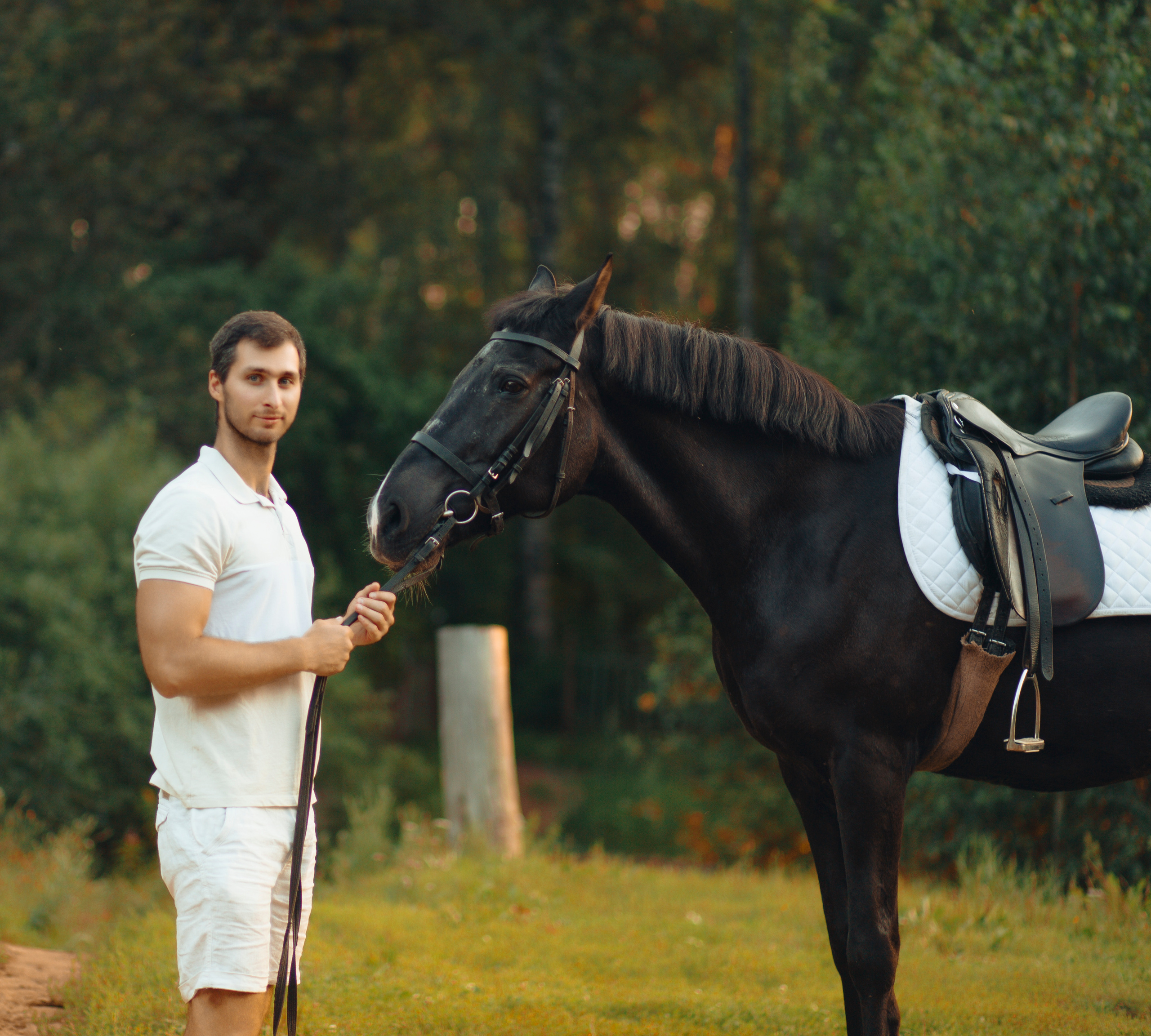 Любовная история. Главная