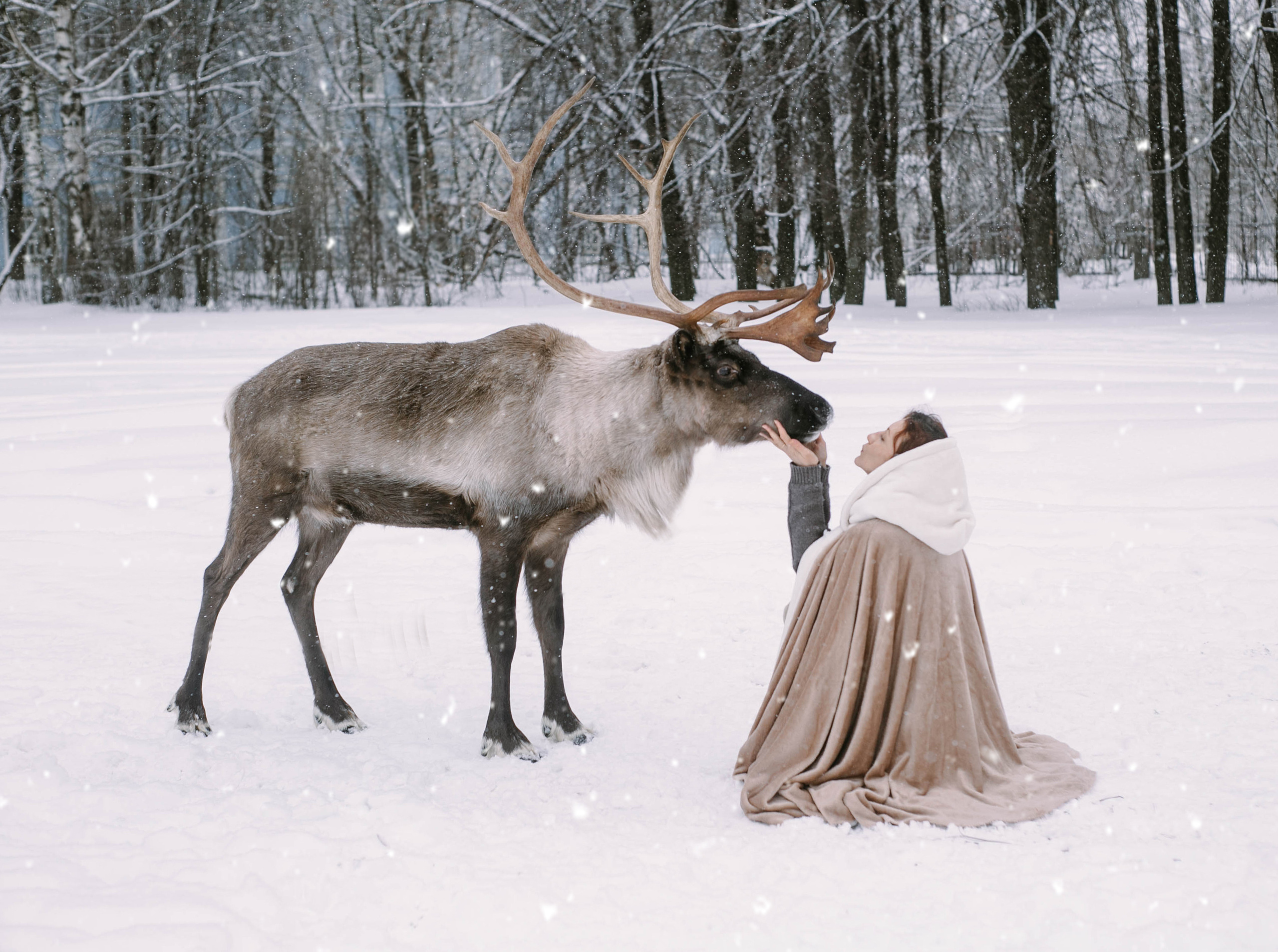 Фотографии с животными. Главная