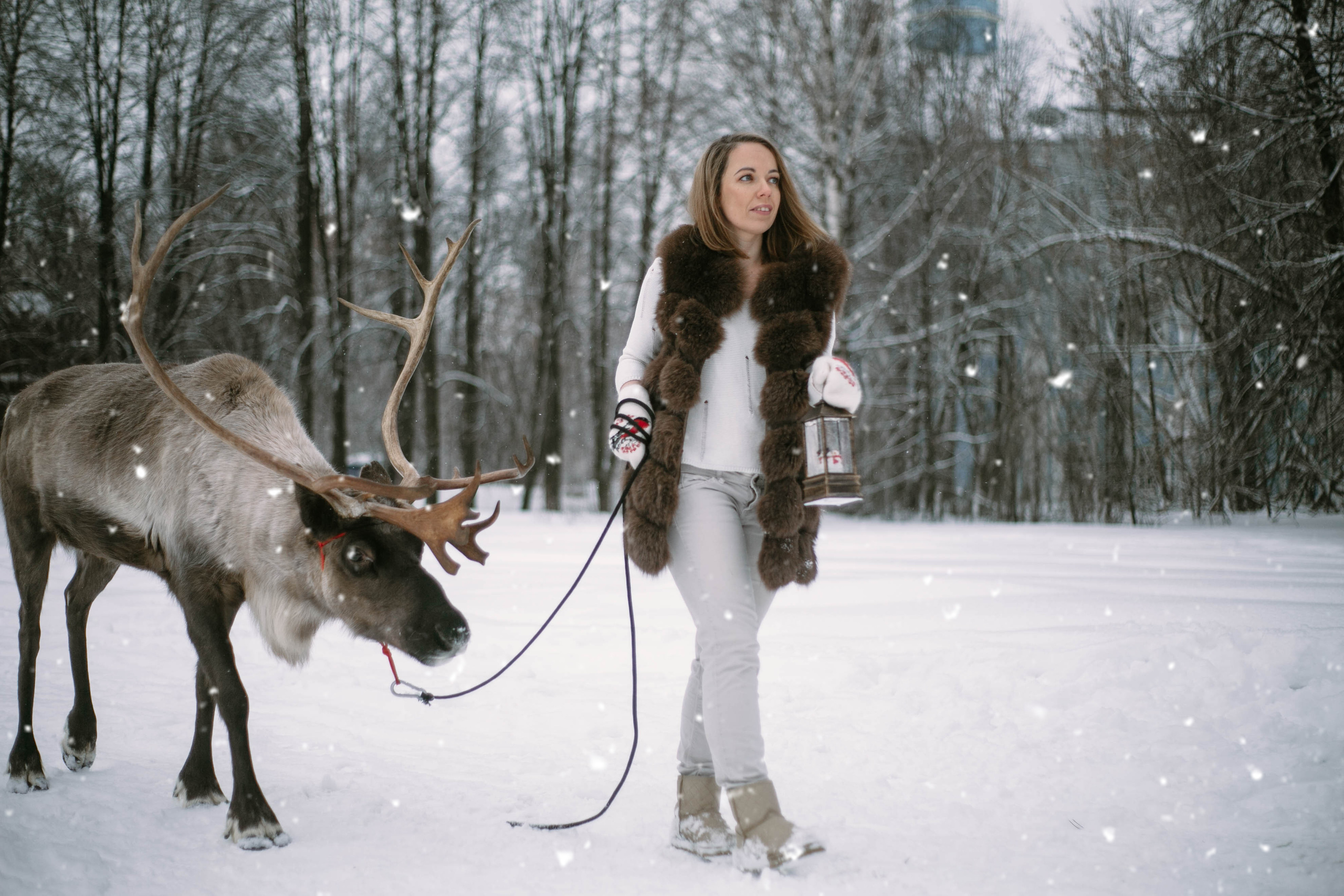 Фотографии с животными. Главная