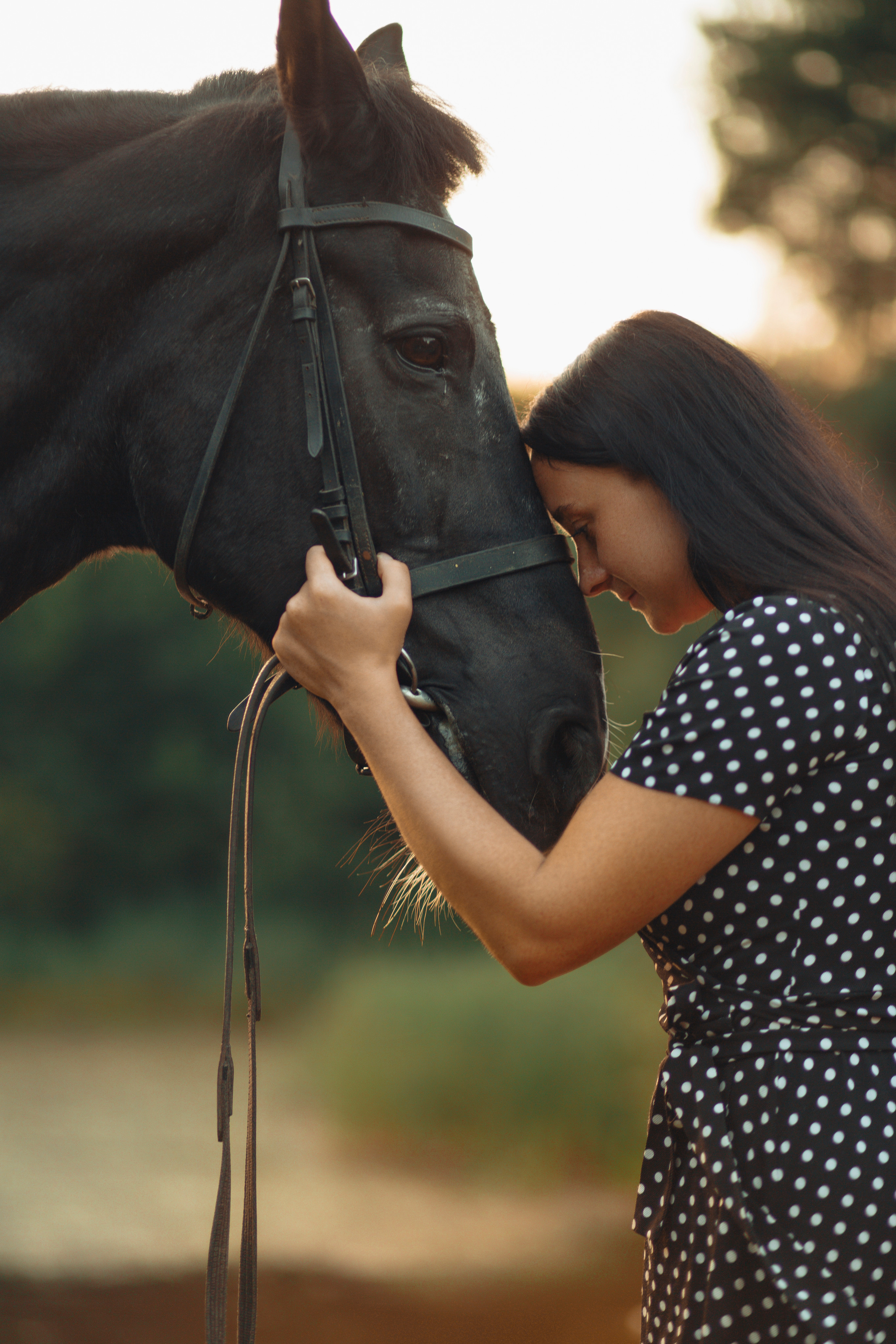 Любовная история. Главная