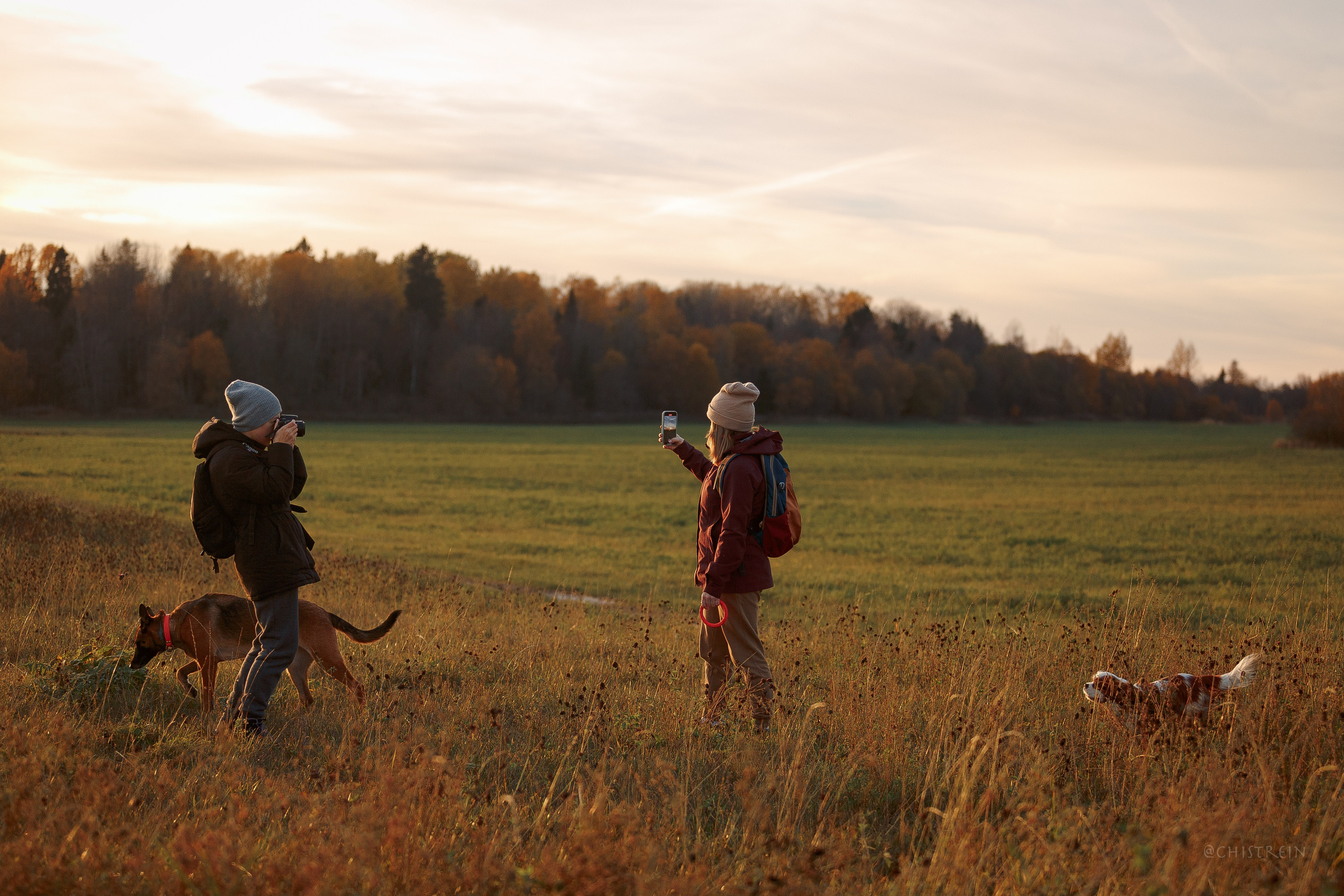 Октябрьский закат в полях. Алина и Лео. Фотограф-анималист Наталия Чистюхина в г. Сосновый Бор и ЛО