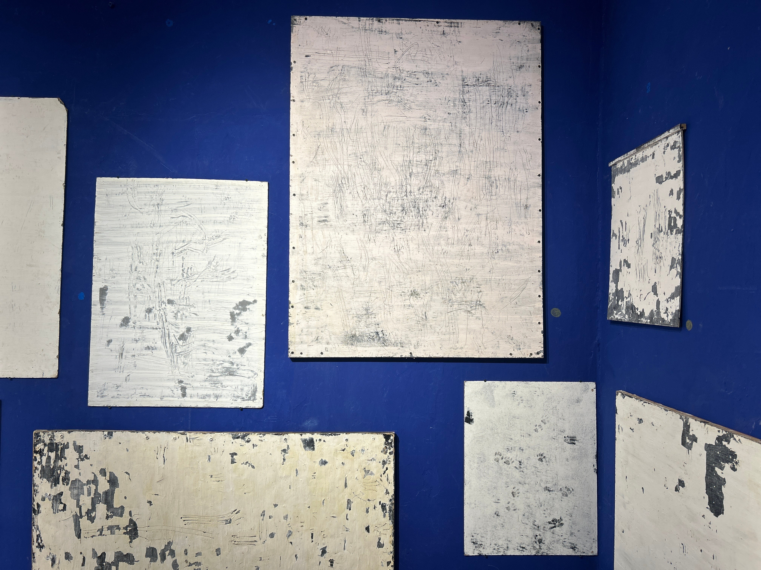 Коты-художники. Илья Крончев-Иванов