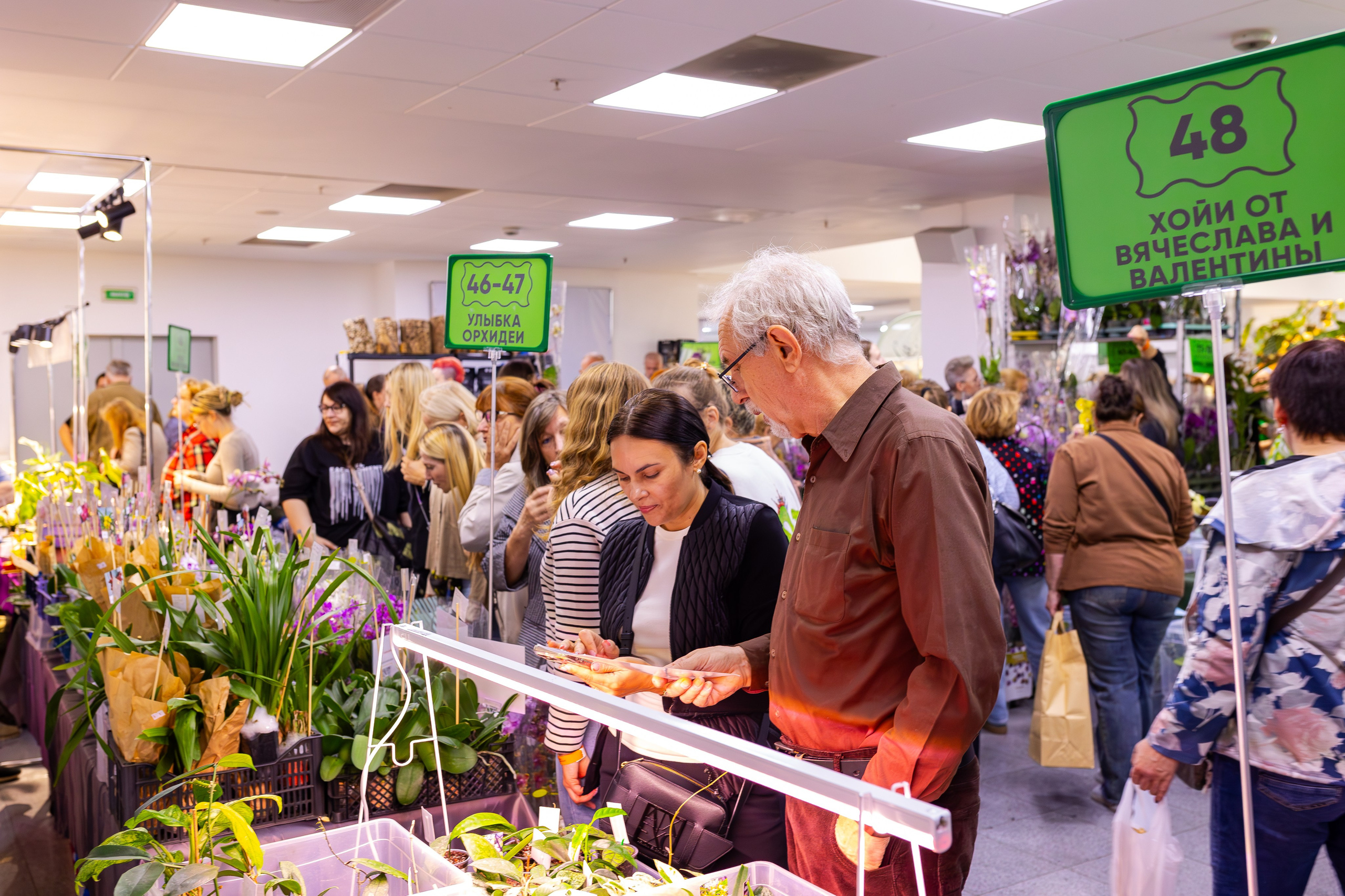 Орхидиум сентябрь 2025. Александра Куликова фотограф, Москва
