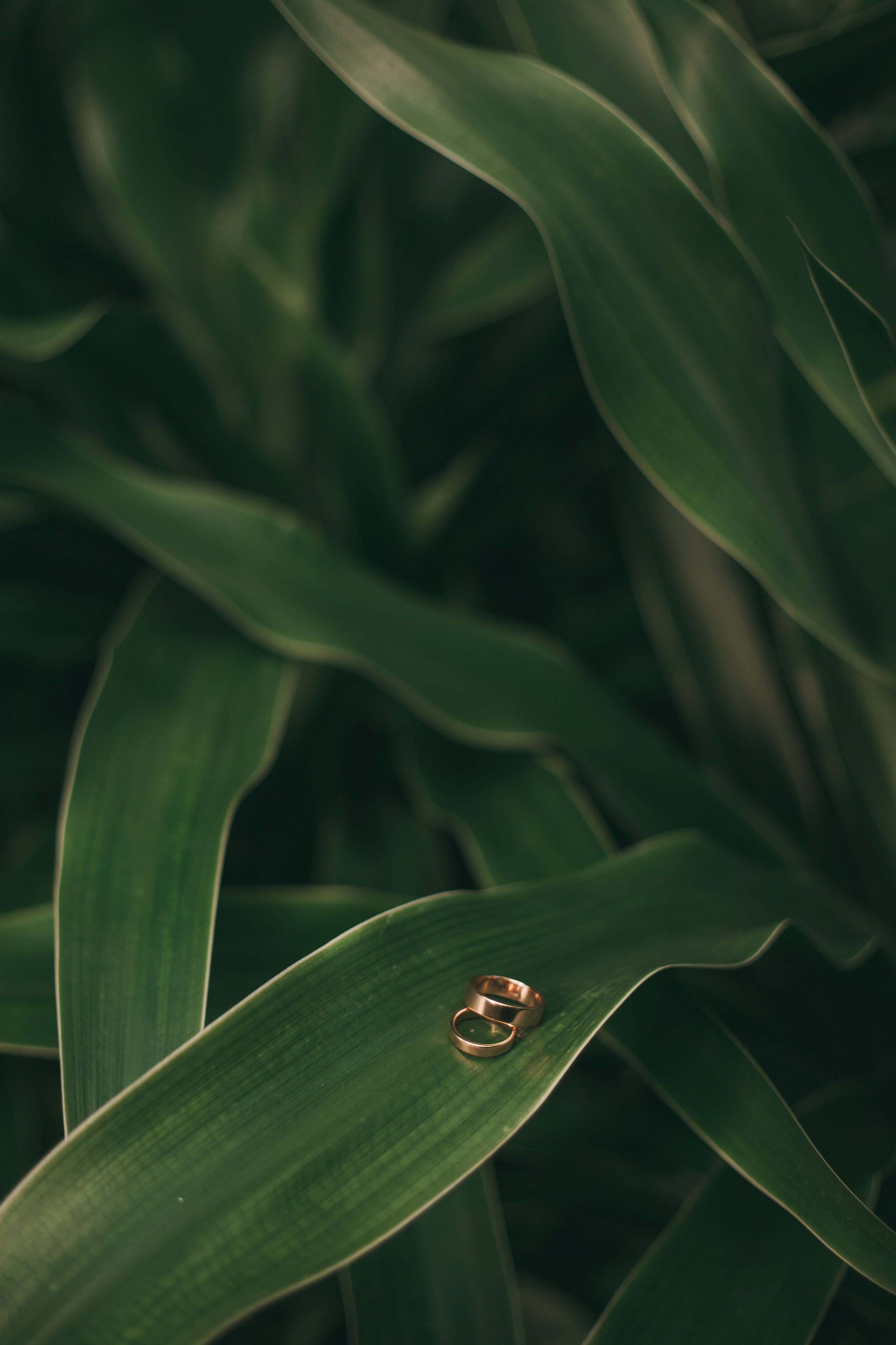 Сергей и Инна. Семейный и свадебный фотограф в Ижевске Лушникова Екатерина