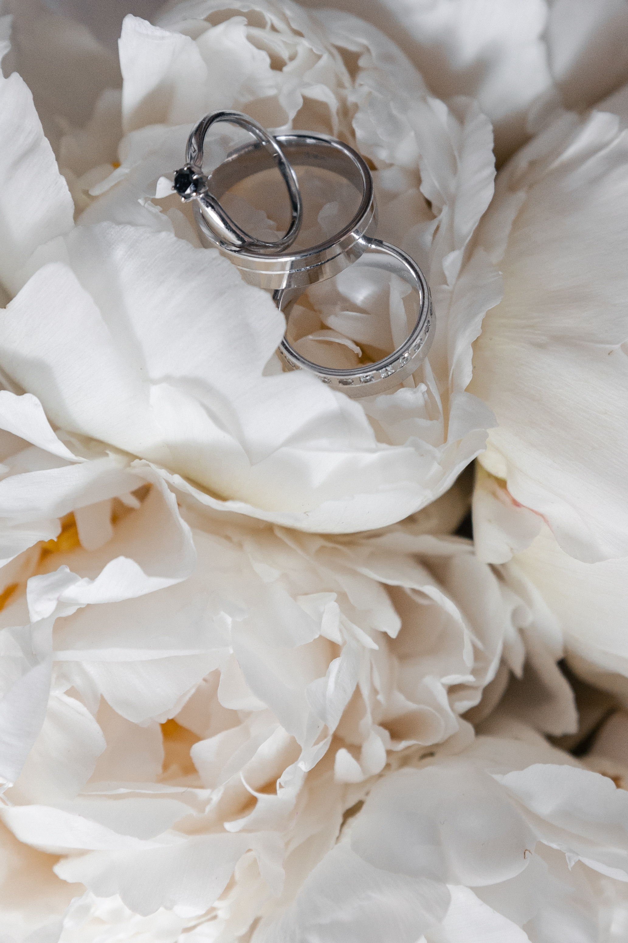 Алексей и Анна. @dariazphoto свадебный фотограф