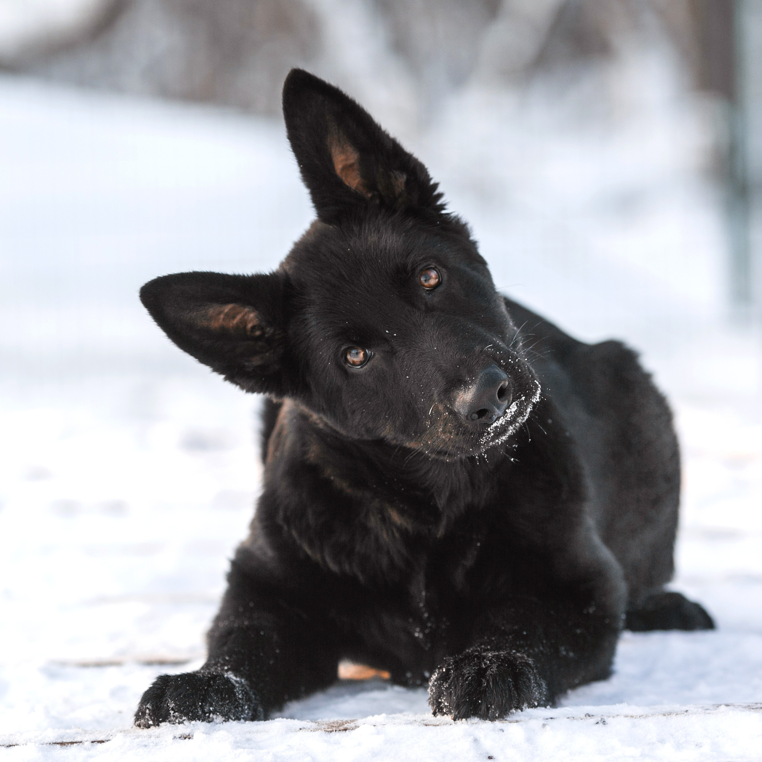 Репортажный фотограф Борис Геер