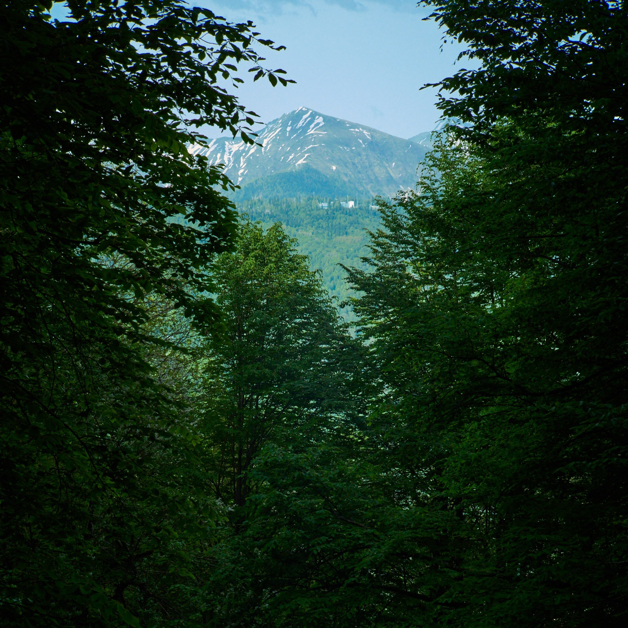 Красная Поляна, апрель 2024. Фотограф, Римма Невинская