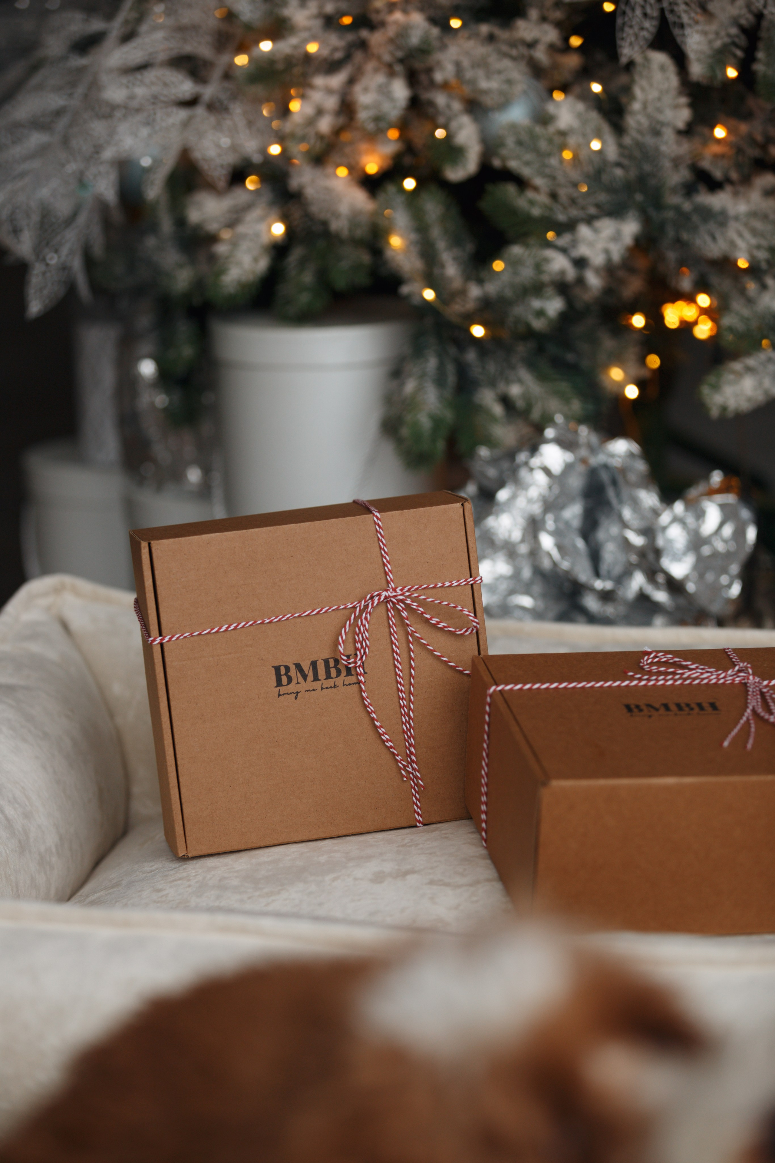 Bmbh лежанки и адресники. Фотограф анималист Кристина Карпова, Москва