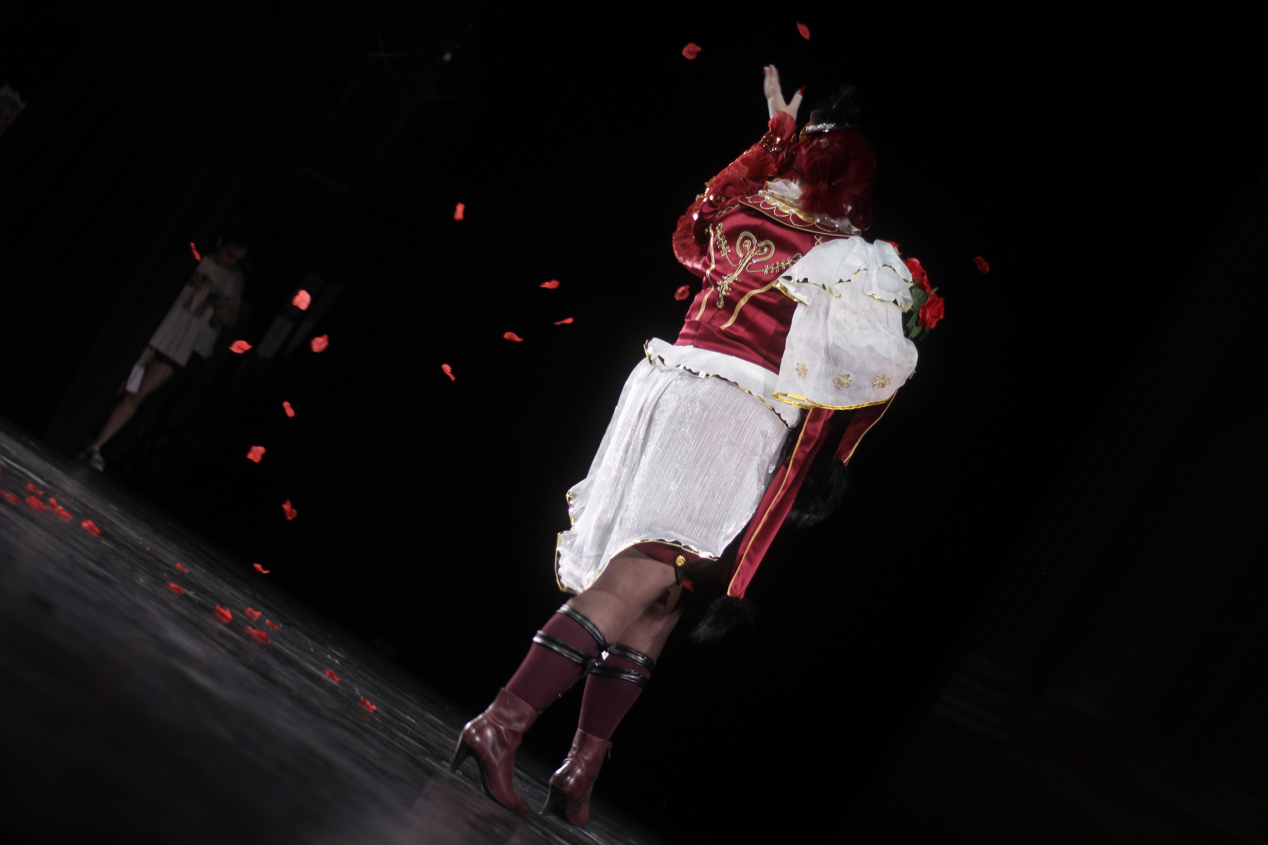 Примеры фотосъёмок (косплей-дефиле). Косплей-фотограф Birdryx