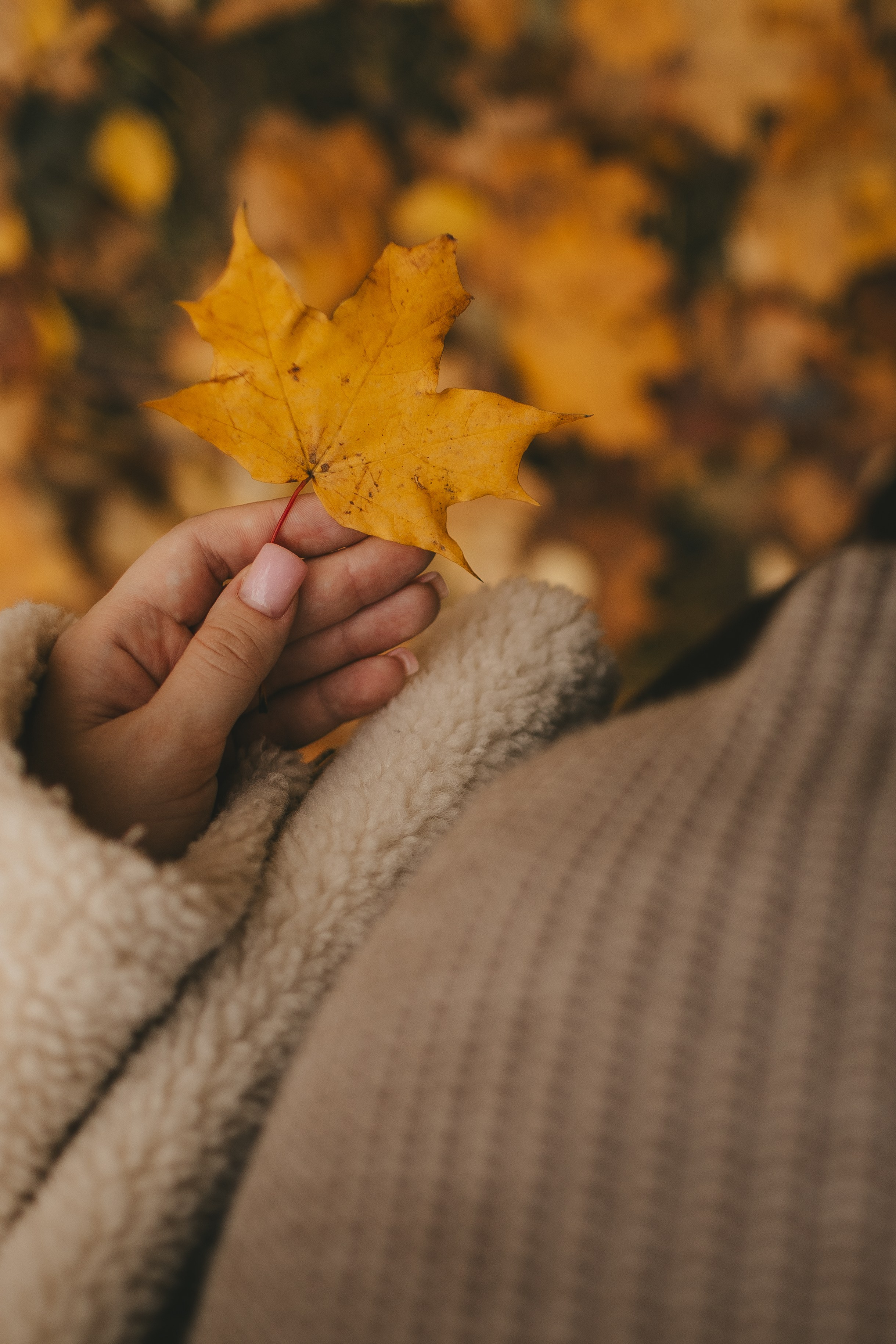 Беременность. Семейный и детский фотограф и видеограф в Москве, Дрокина Наталья