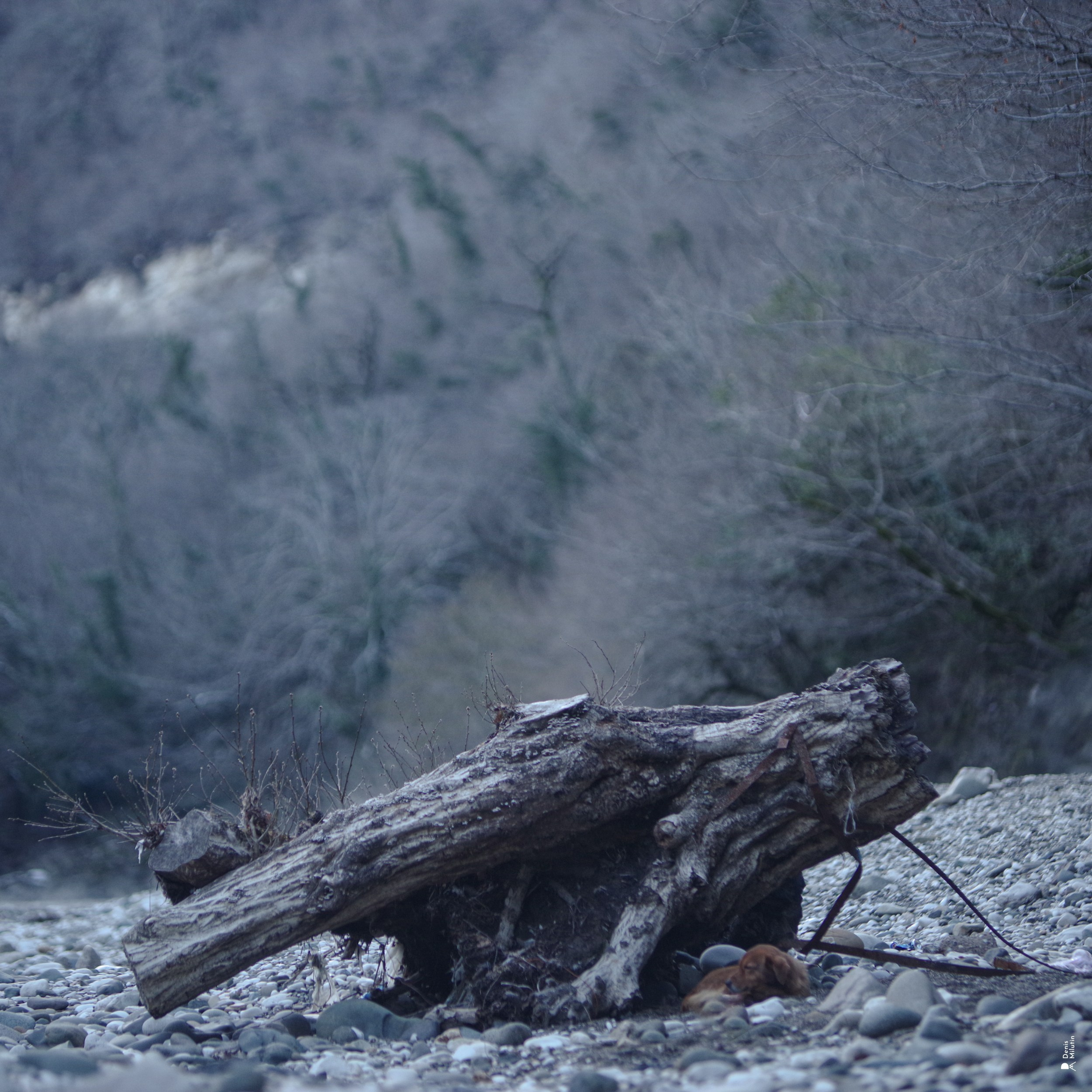 Nokalakevi. Портретный фотограф Денис Милютин