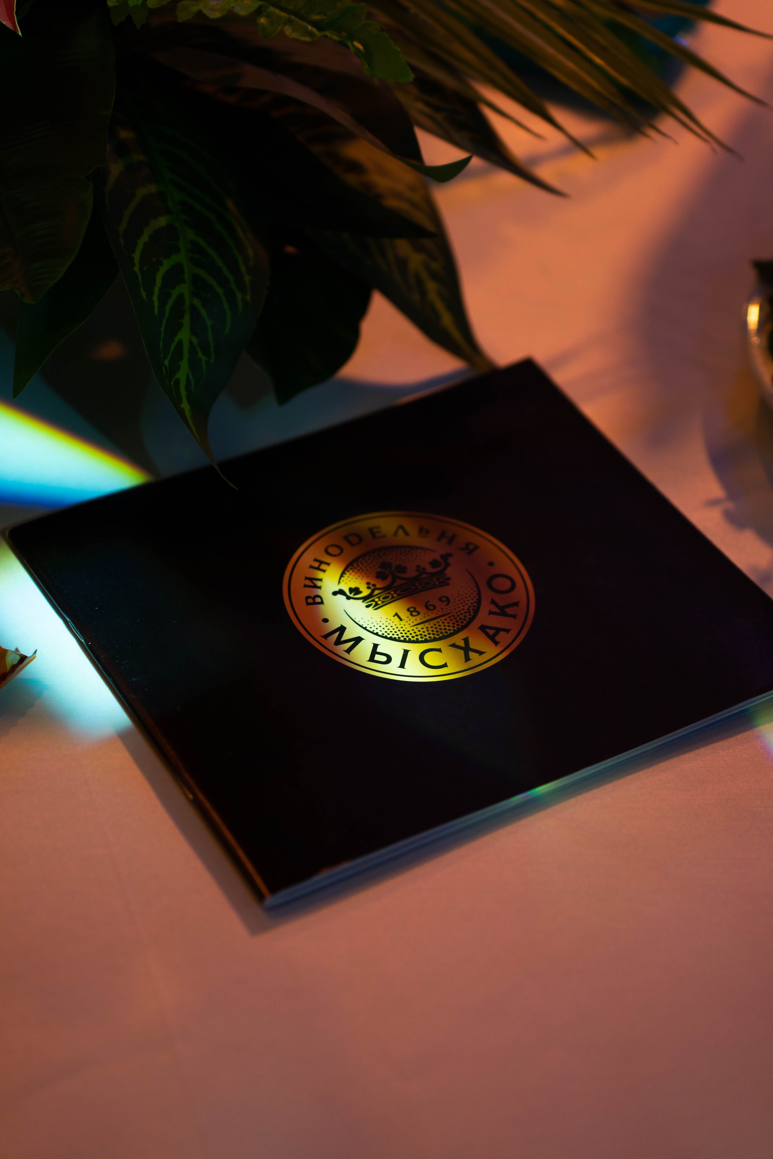 BLOGGER SUMMIT | Mercury space. Фотограф Абакумова Анастасия