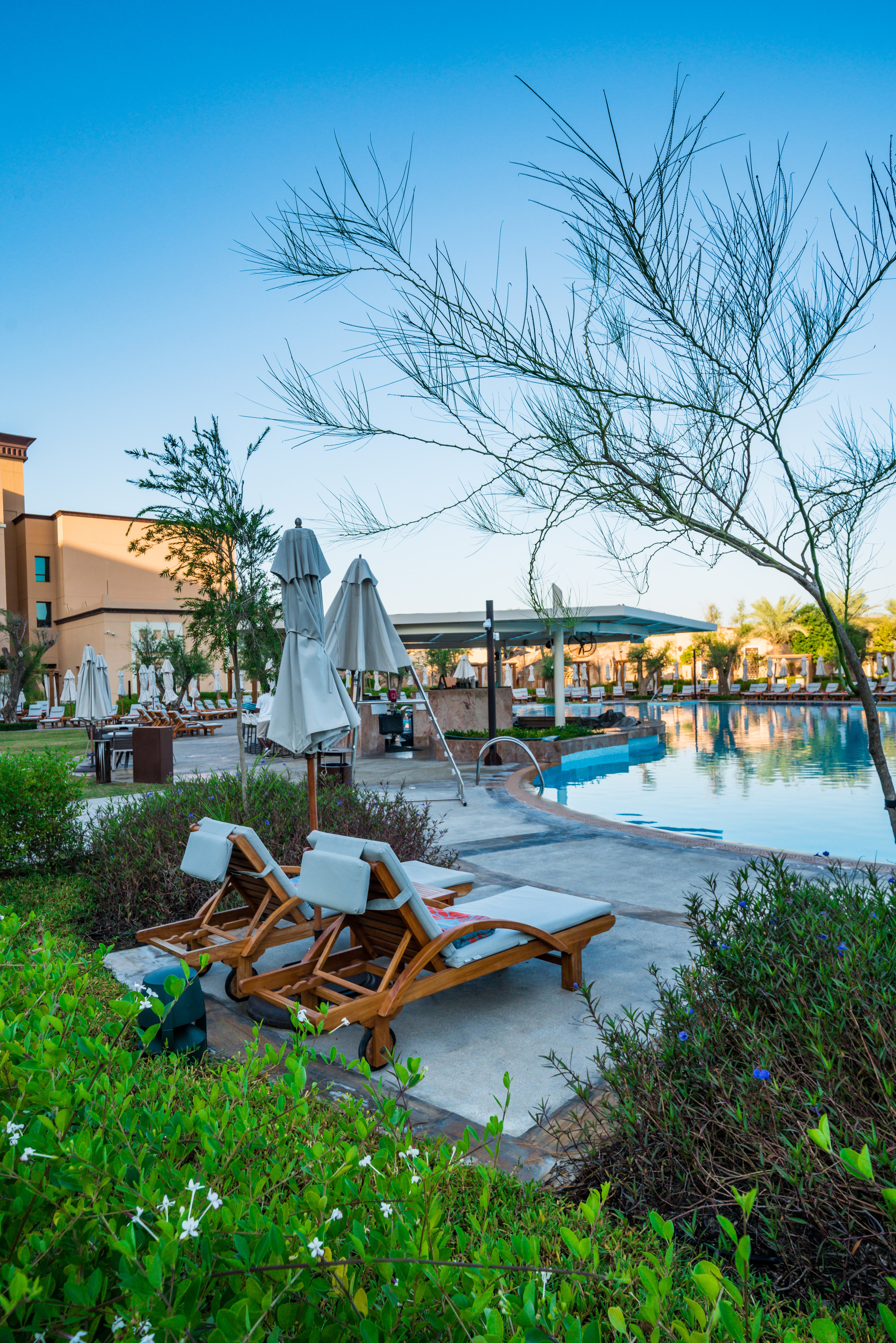 Saadiyat Rotana Resort & Villas. @tomrus: Рустам Шагиморданов — фотограф